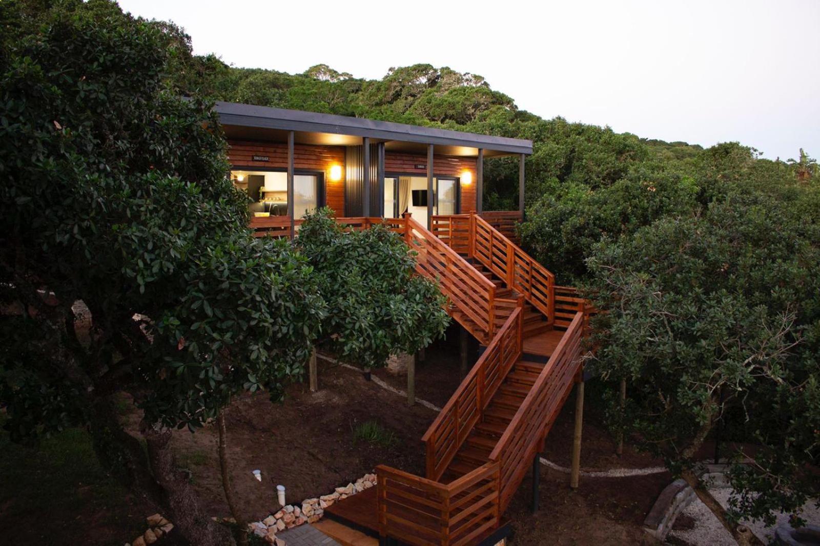 Treetop Guesthouse view 2