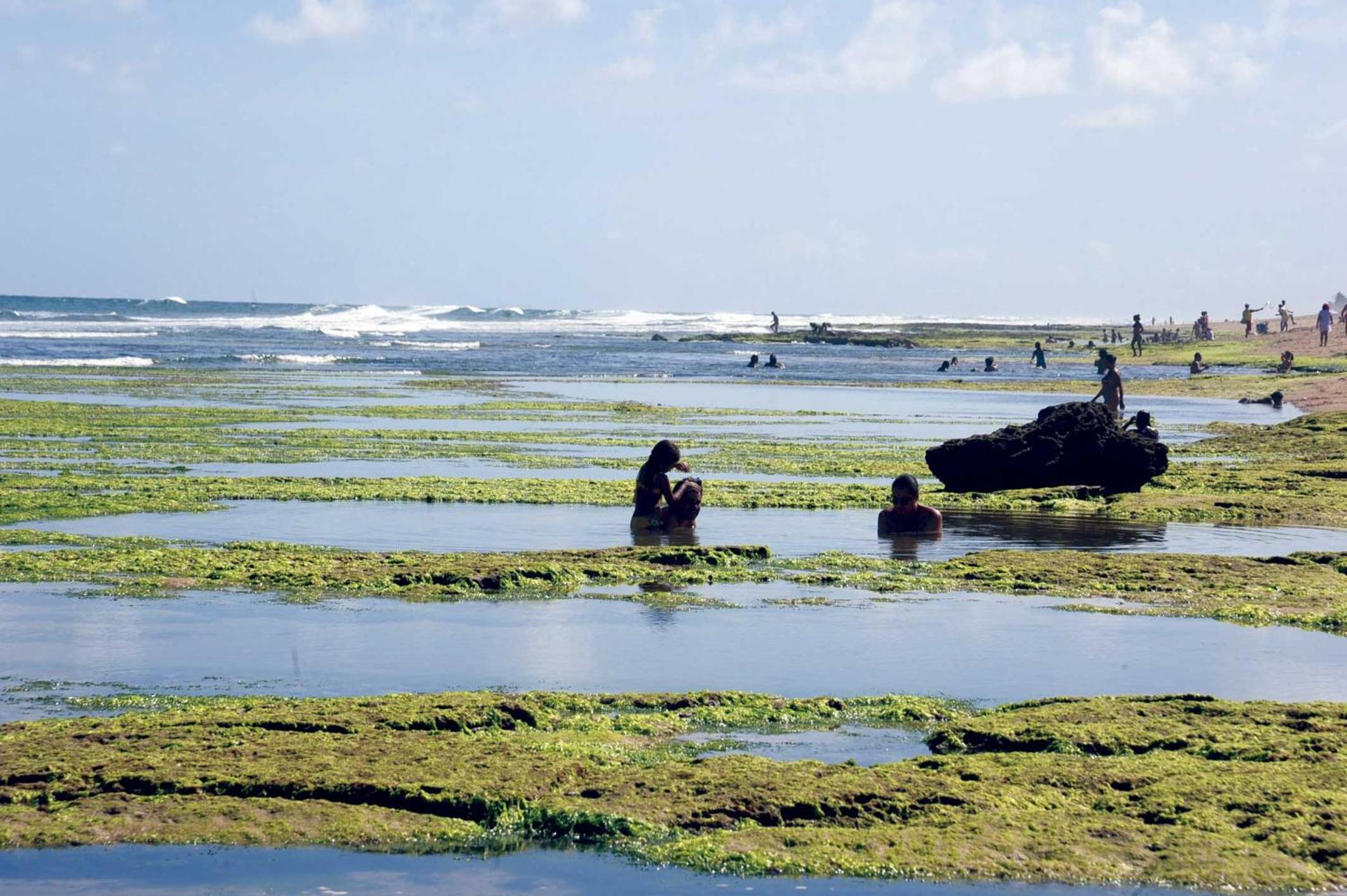 Photo 34
