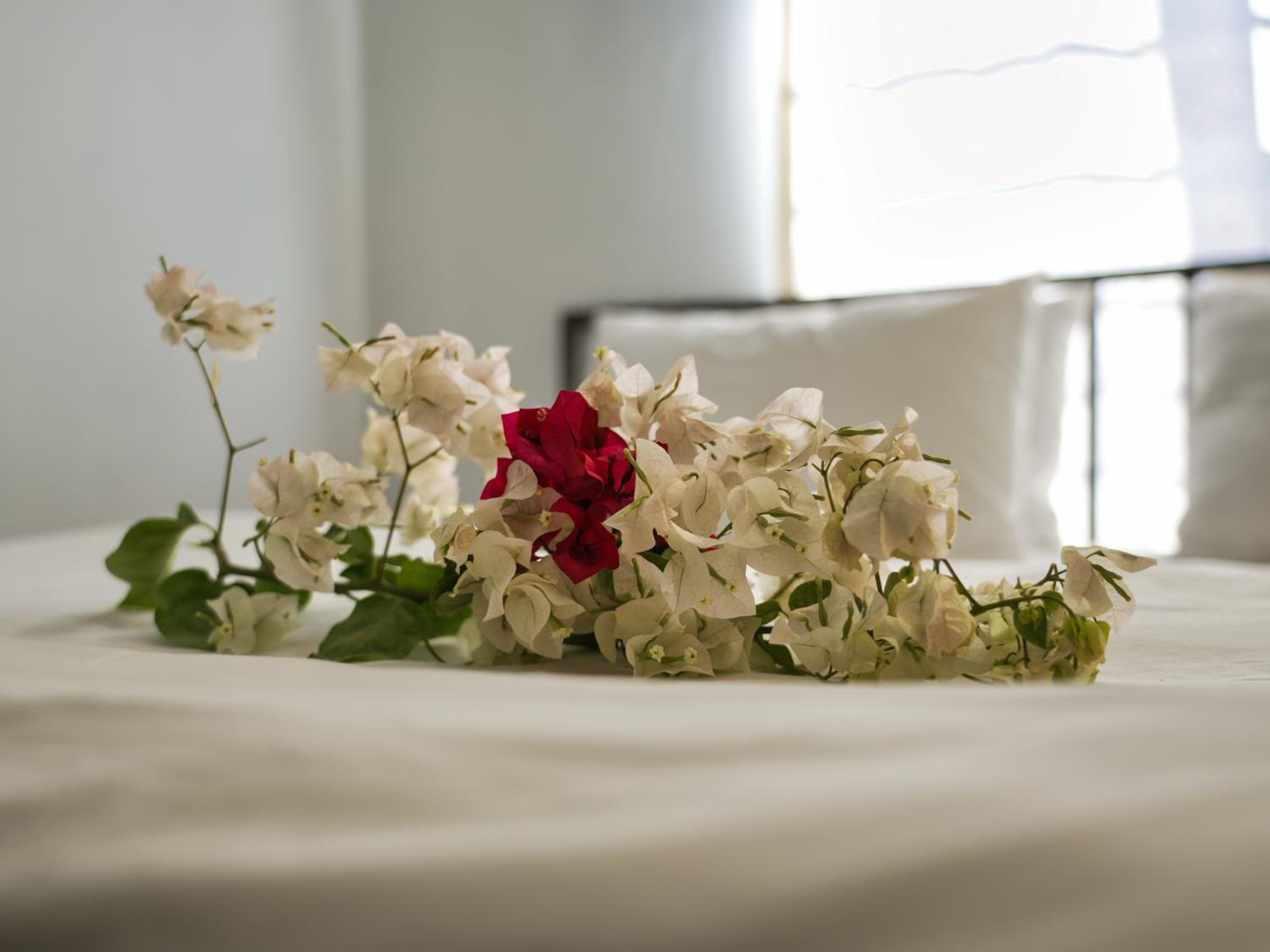 Golentle Home Stay