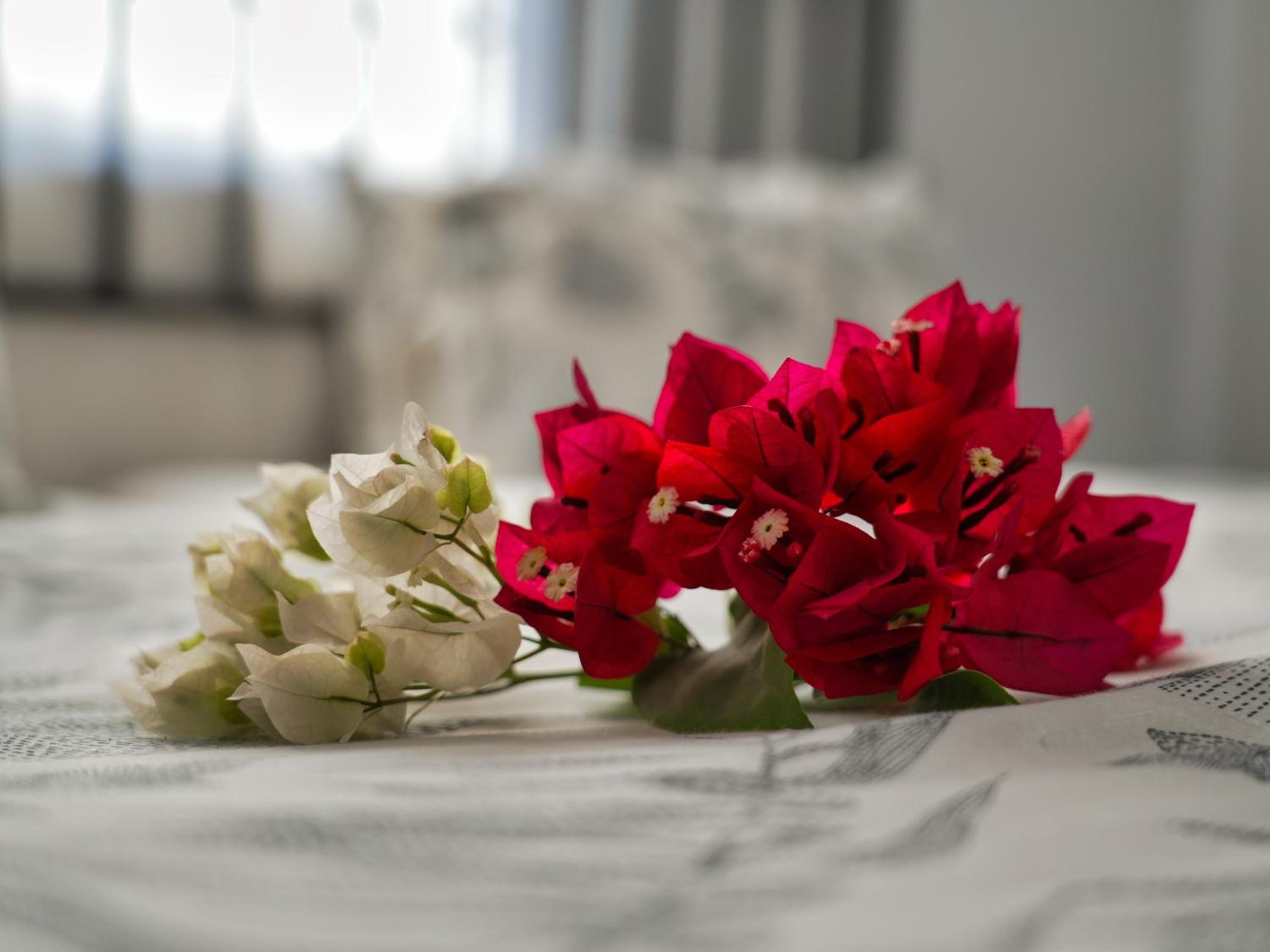 Golentle Home Stay
