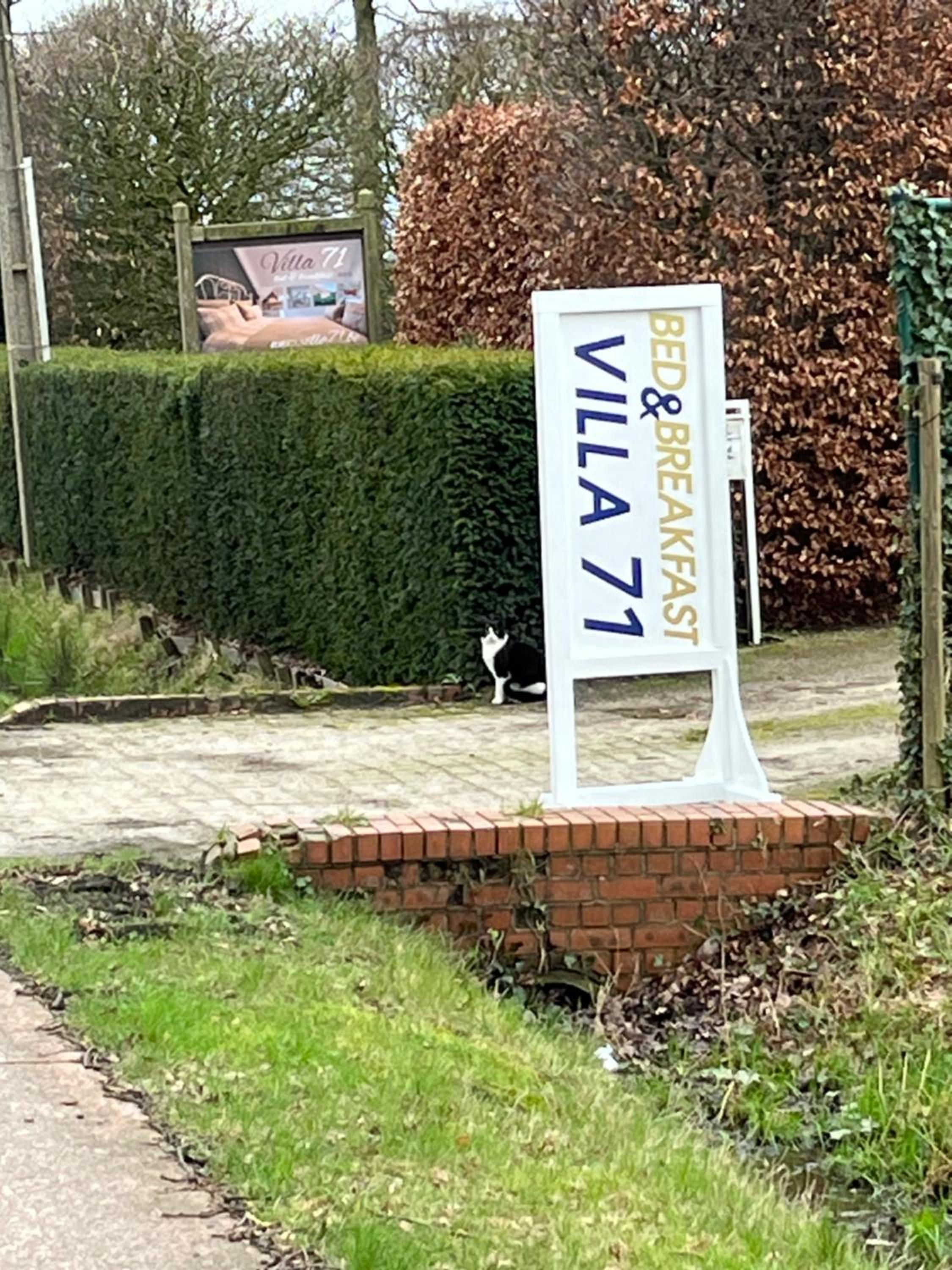 Villa71