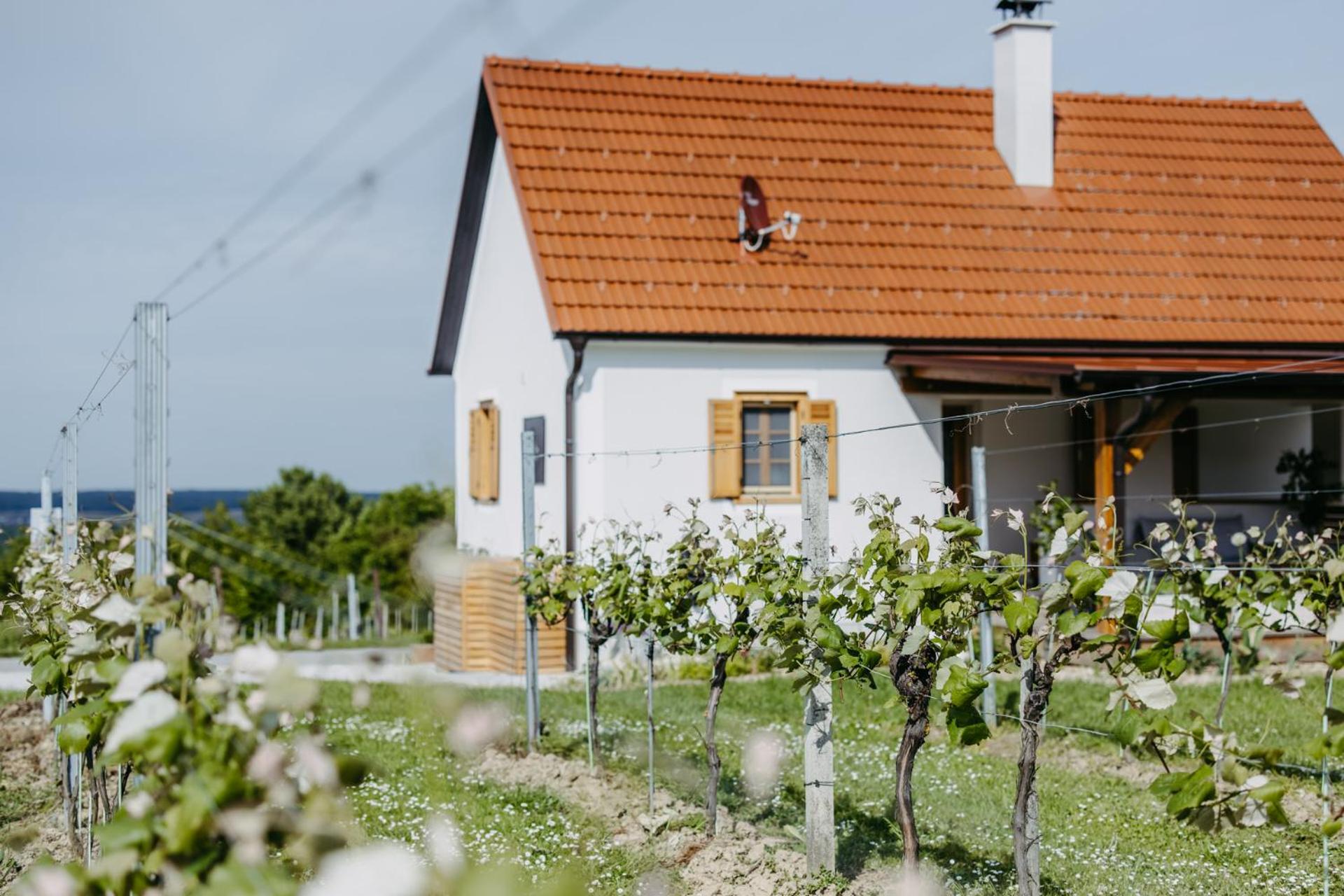 Urlaub im Kellerstöckl Dunst
