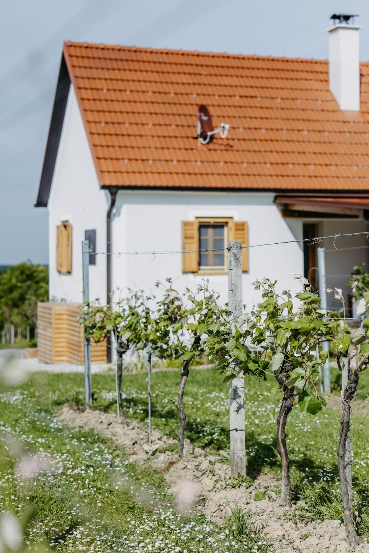 Urlaub im Kellerstöckl Dunst