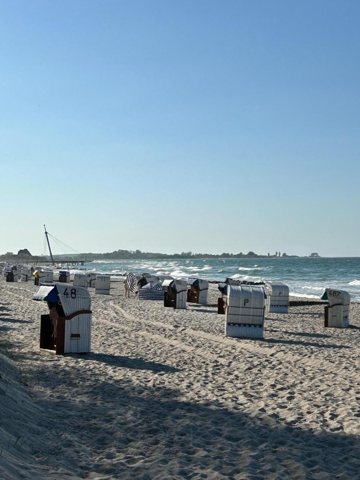 Toplage direkt an der Steilküste - FeWo 4 