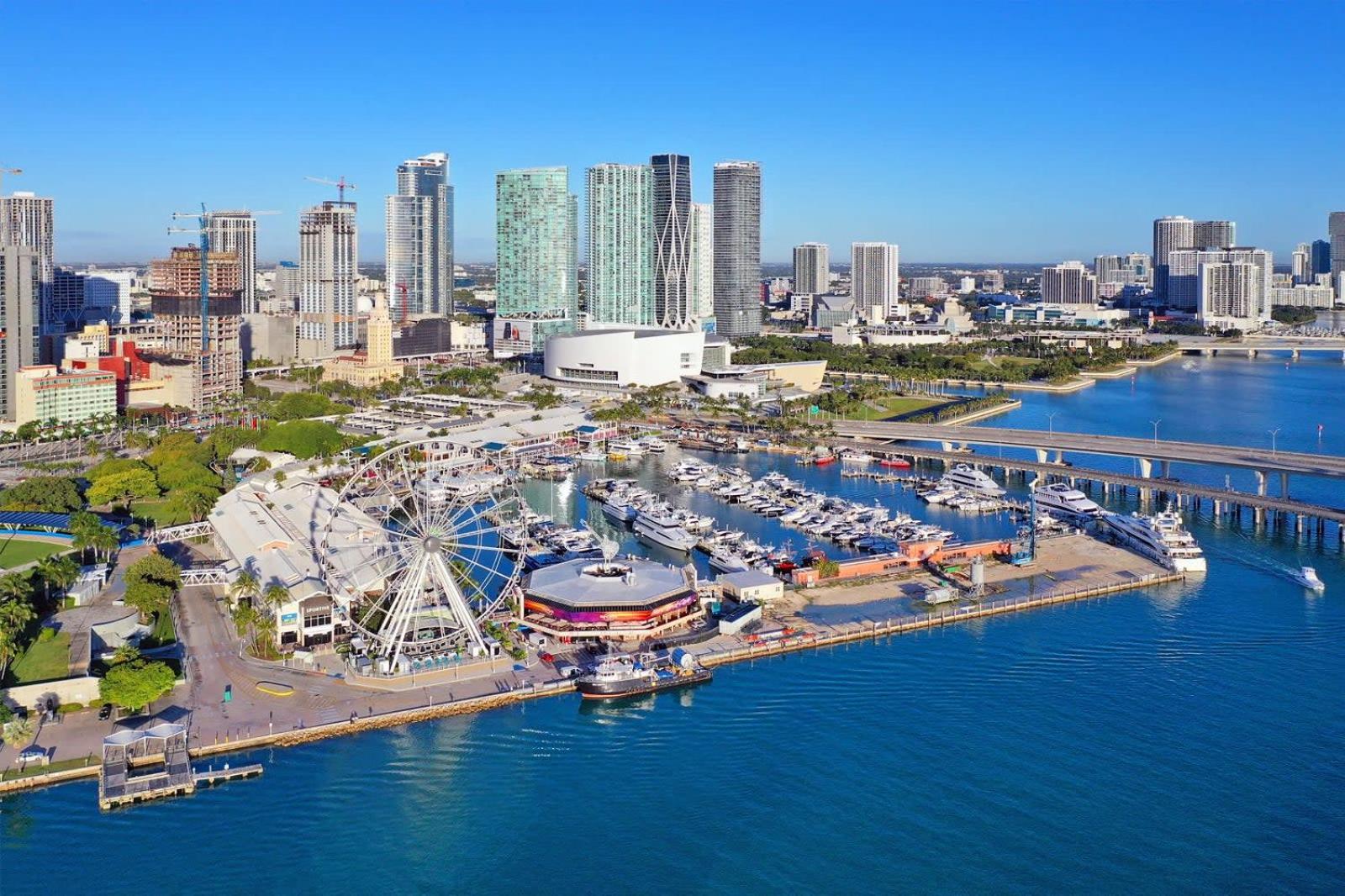 Explore Miami's Heat - Huge 1 bed POOL & GYM