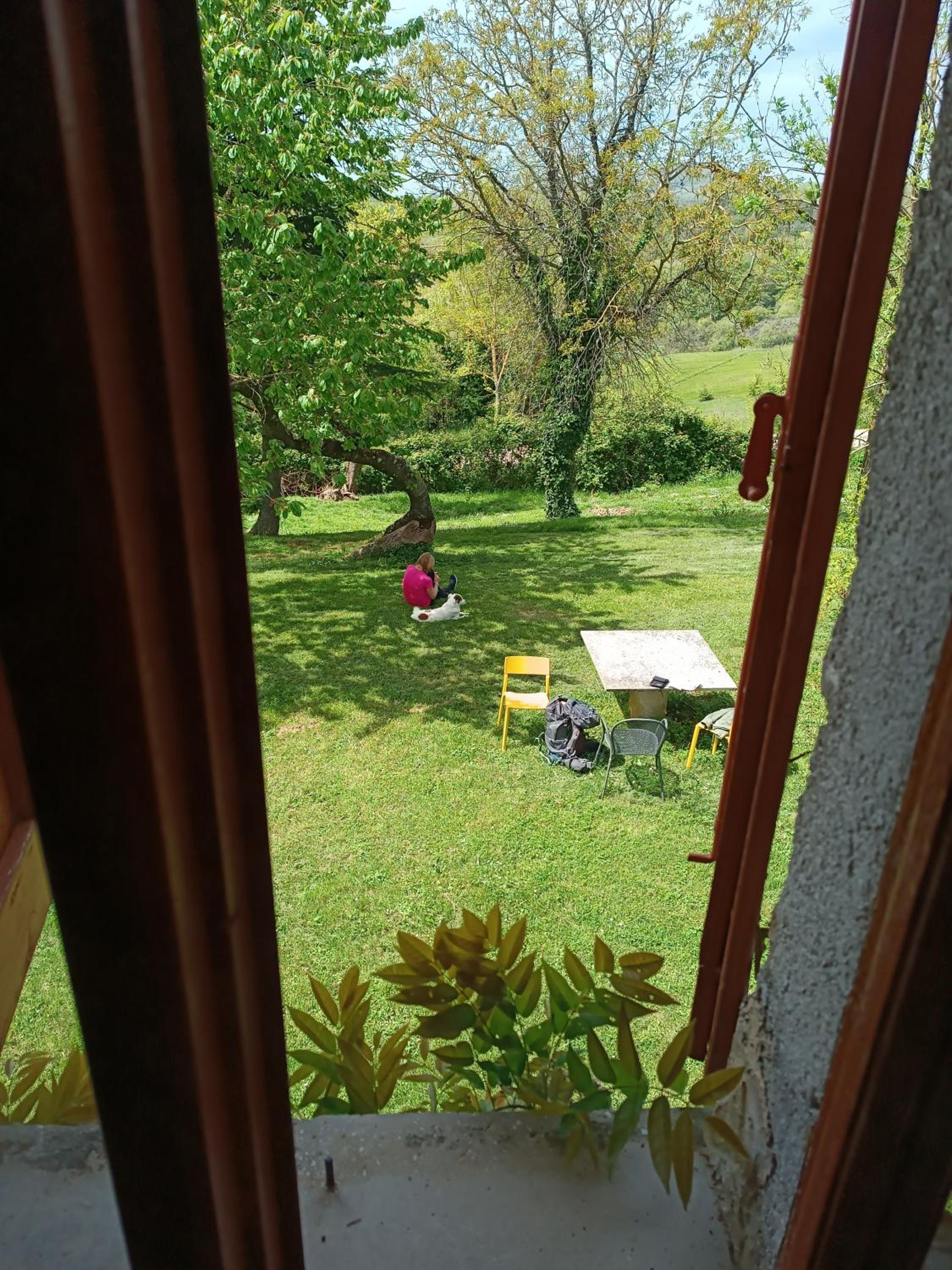 Photo 16