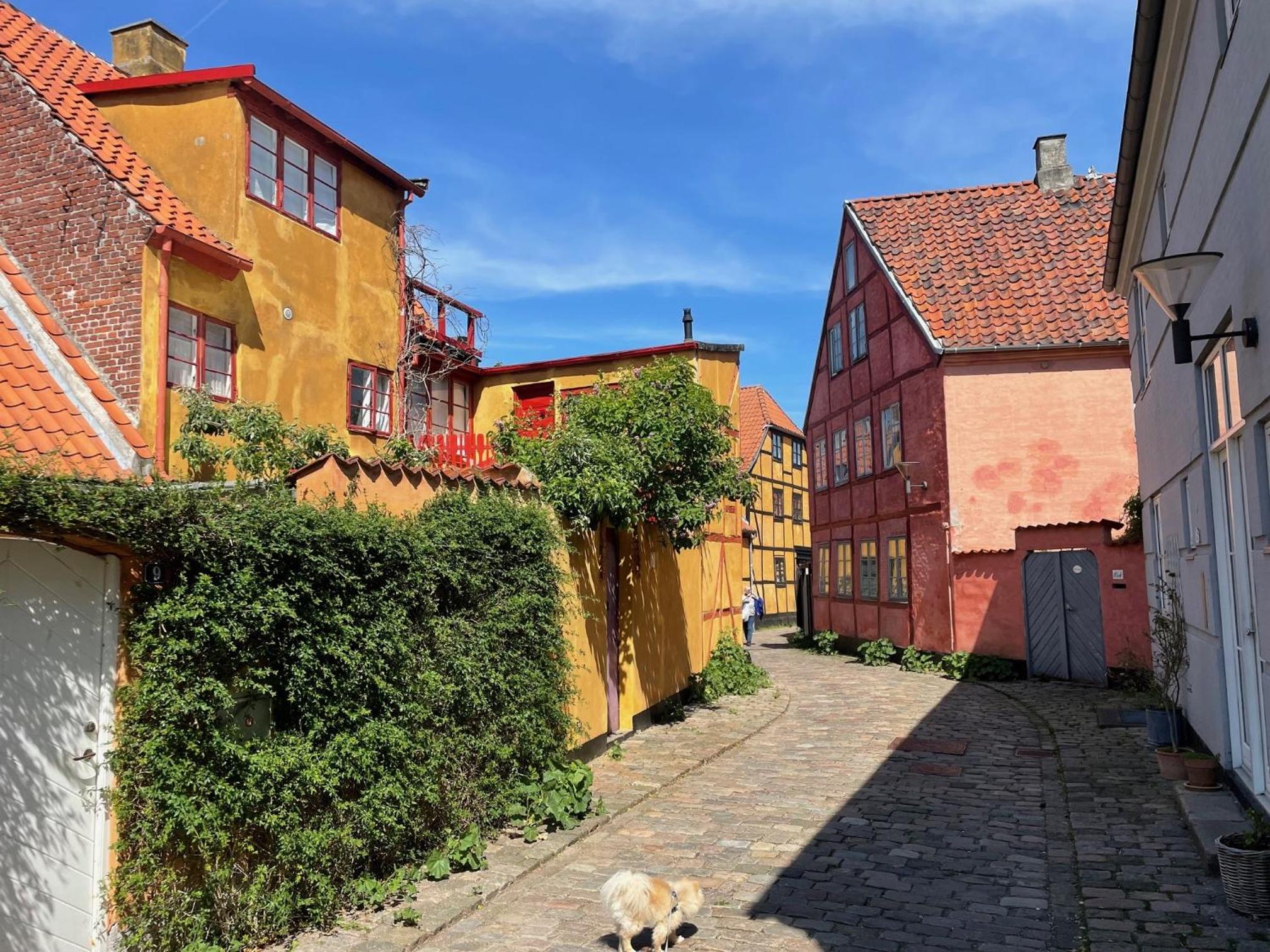 Cozy apartment in the center of Helsingør