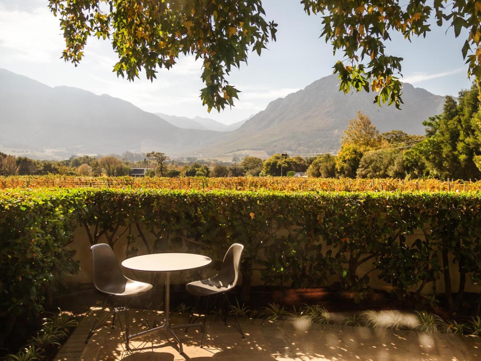 Klein Champagne Guesthouse and Cottages