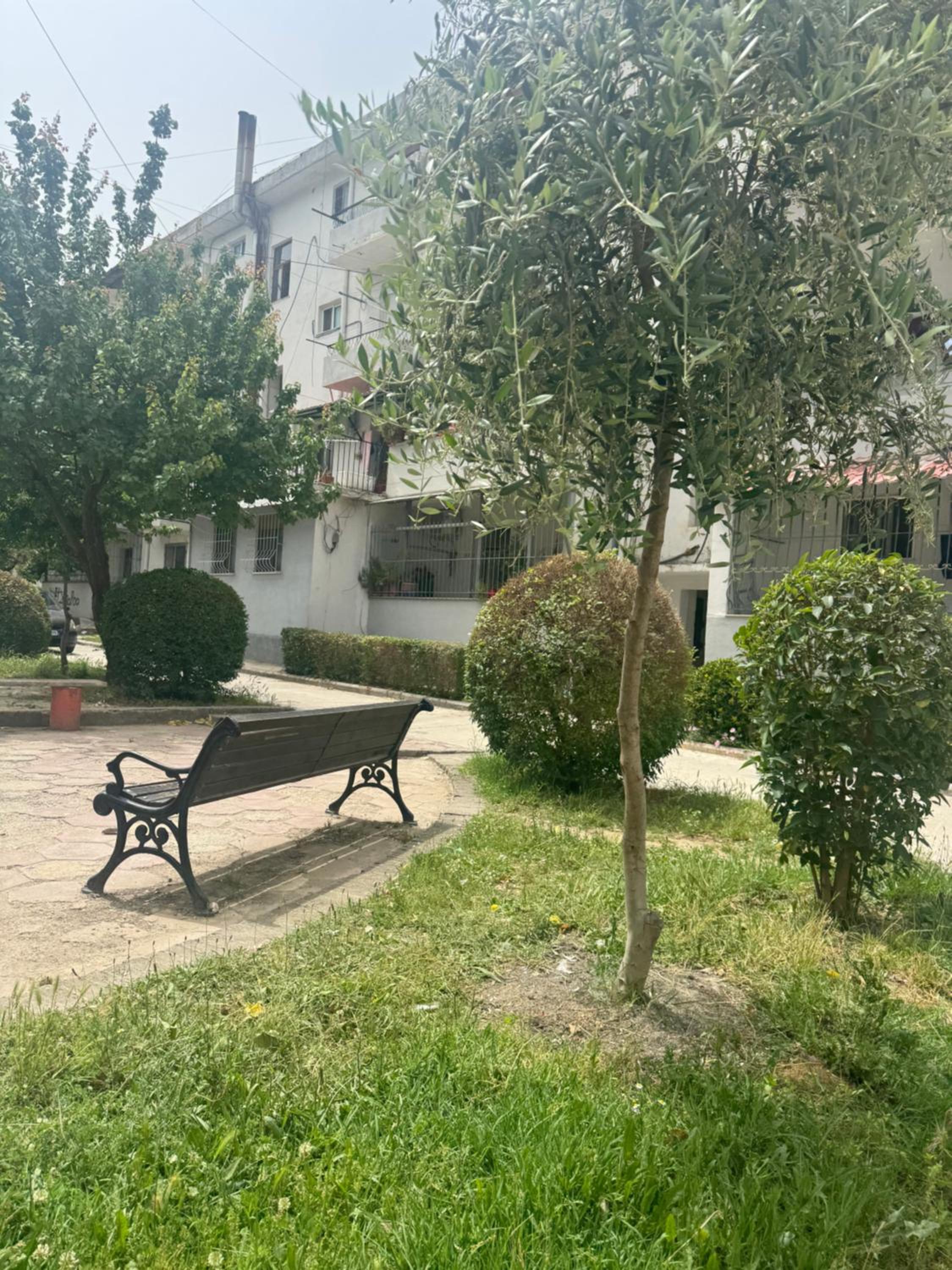 Square 24 apartment