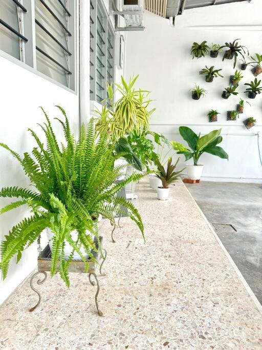 Homey Feel Pearl Cottage photo 1