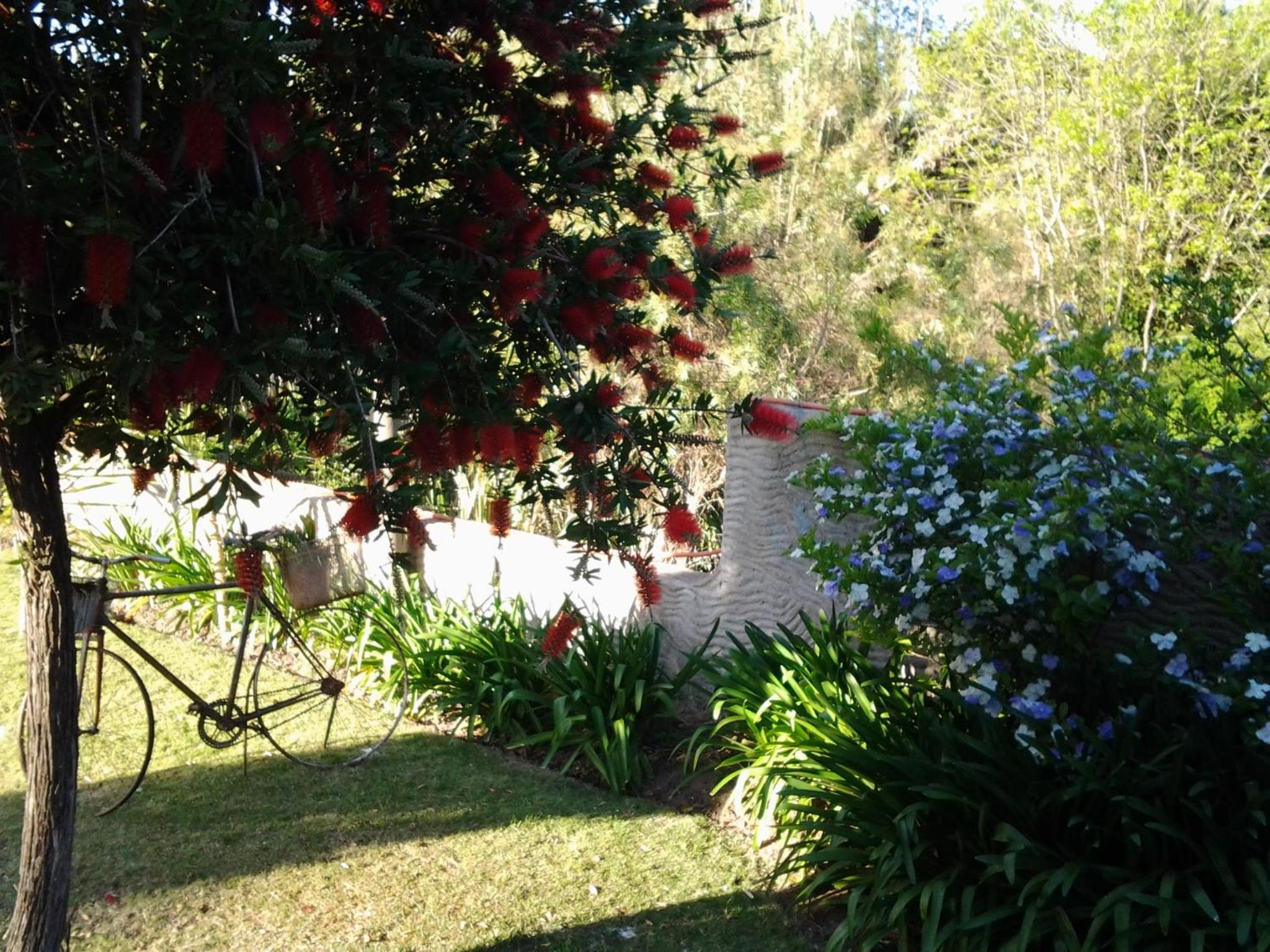 Photo 24