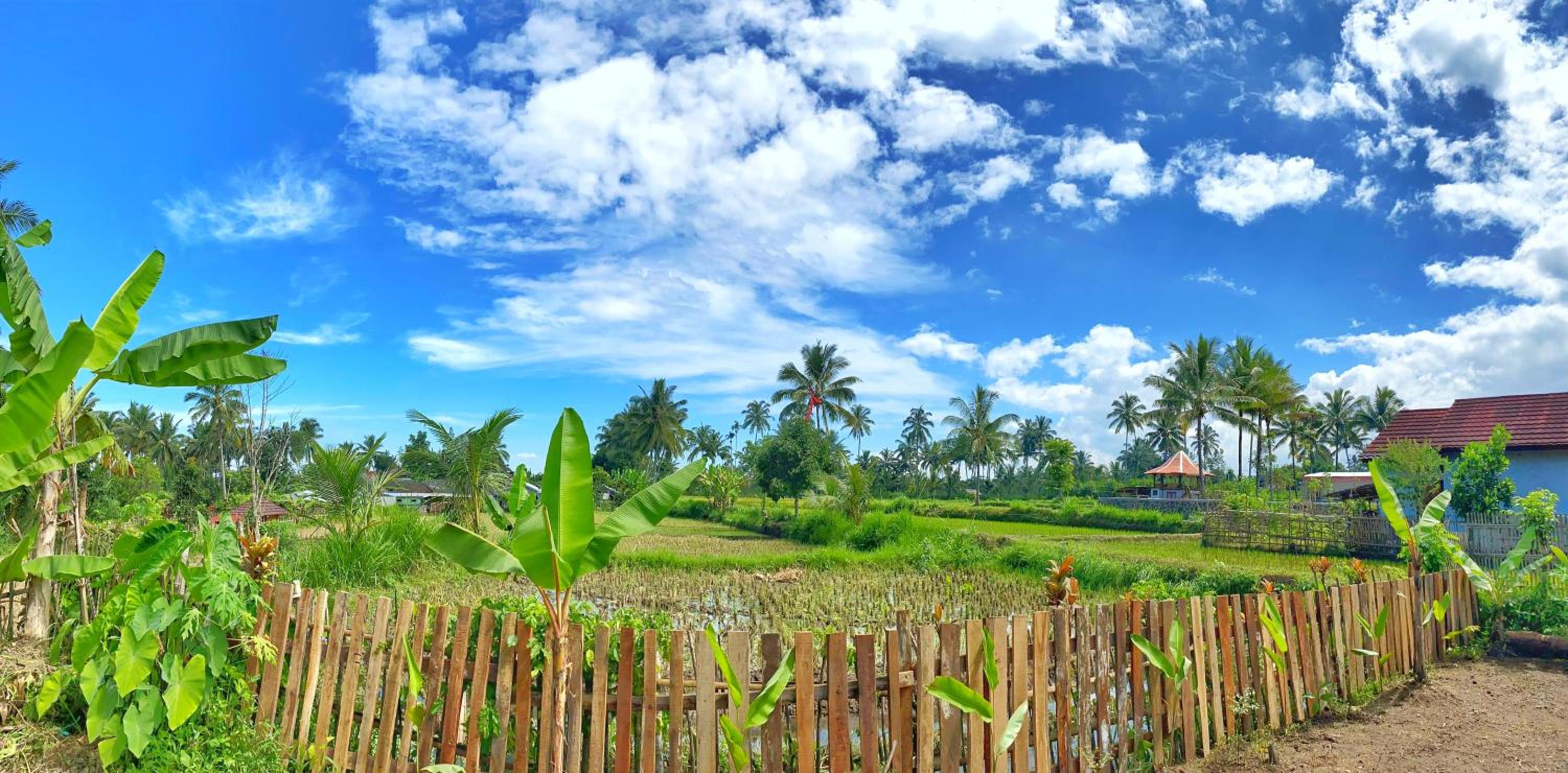 Alfarizi homestay