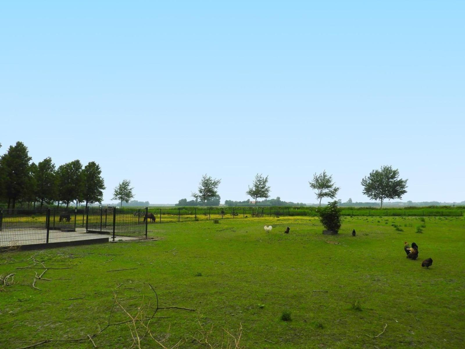 Photo 47