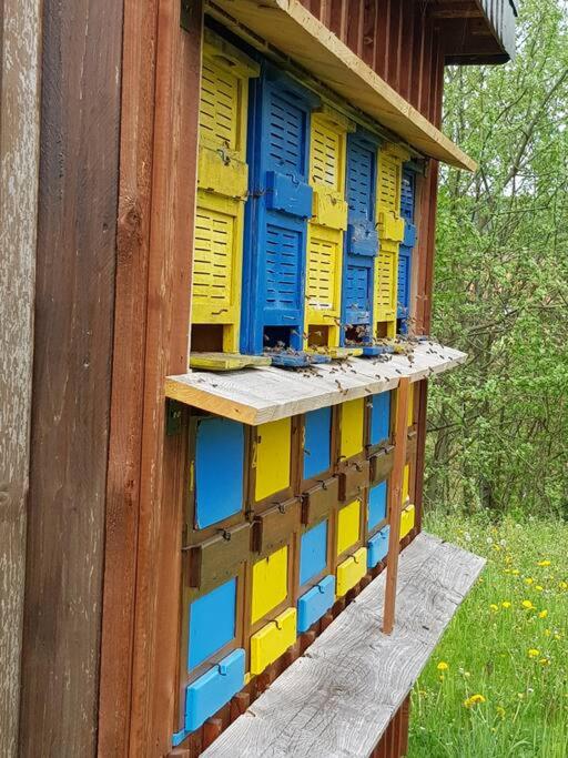 Ferienwohnung SandSteinLand