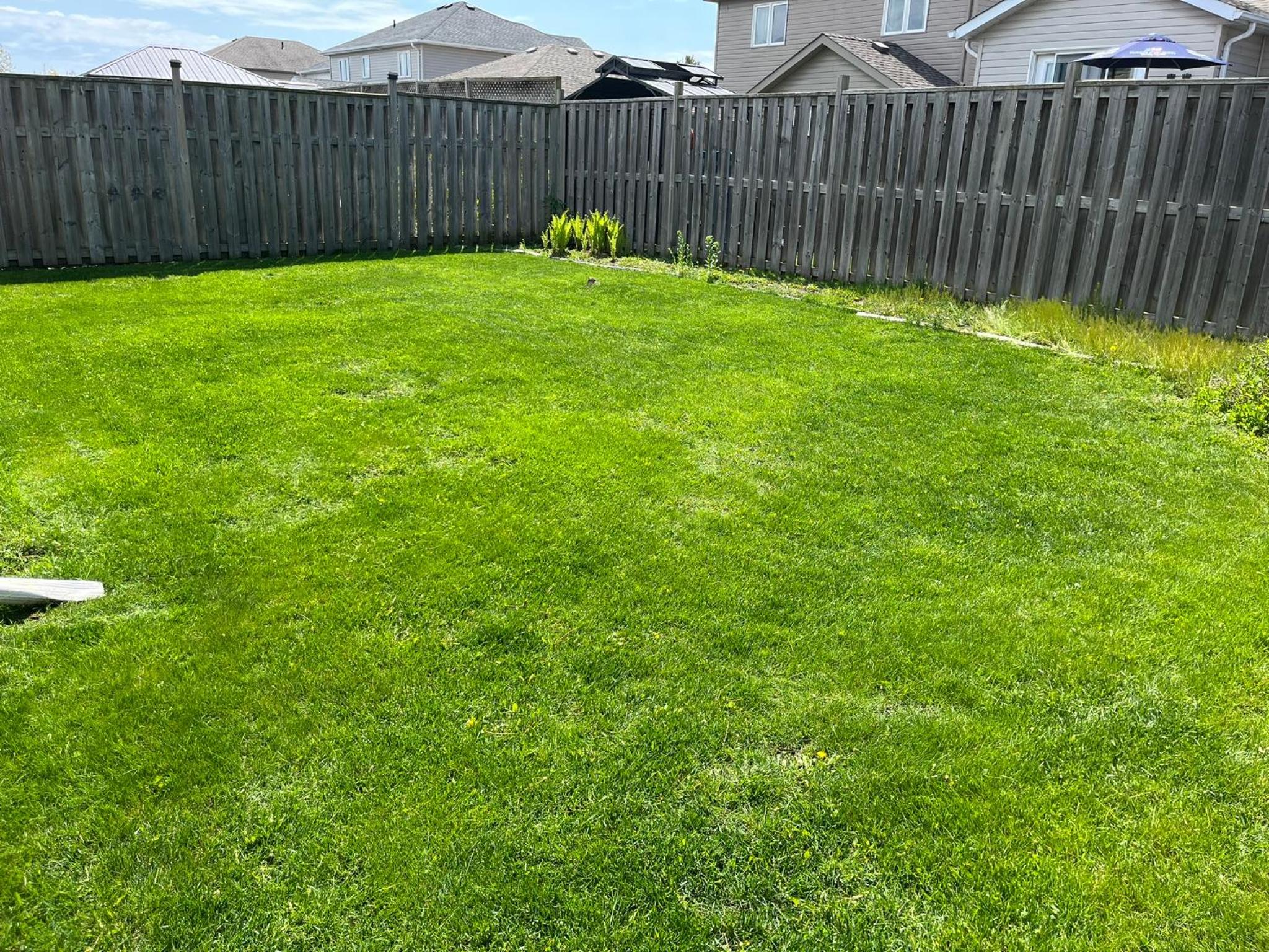 Spacious and Charming Bungalow Retreat (Close to Many Amenities)