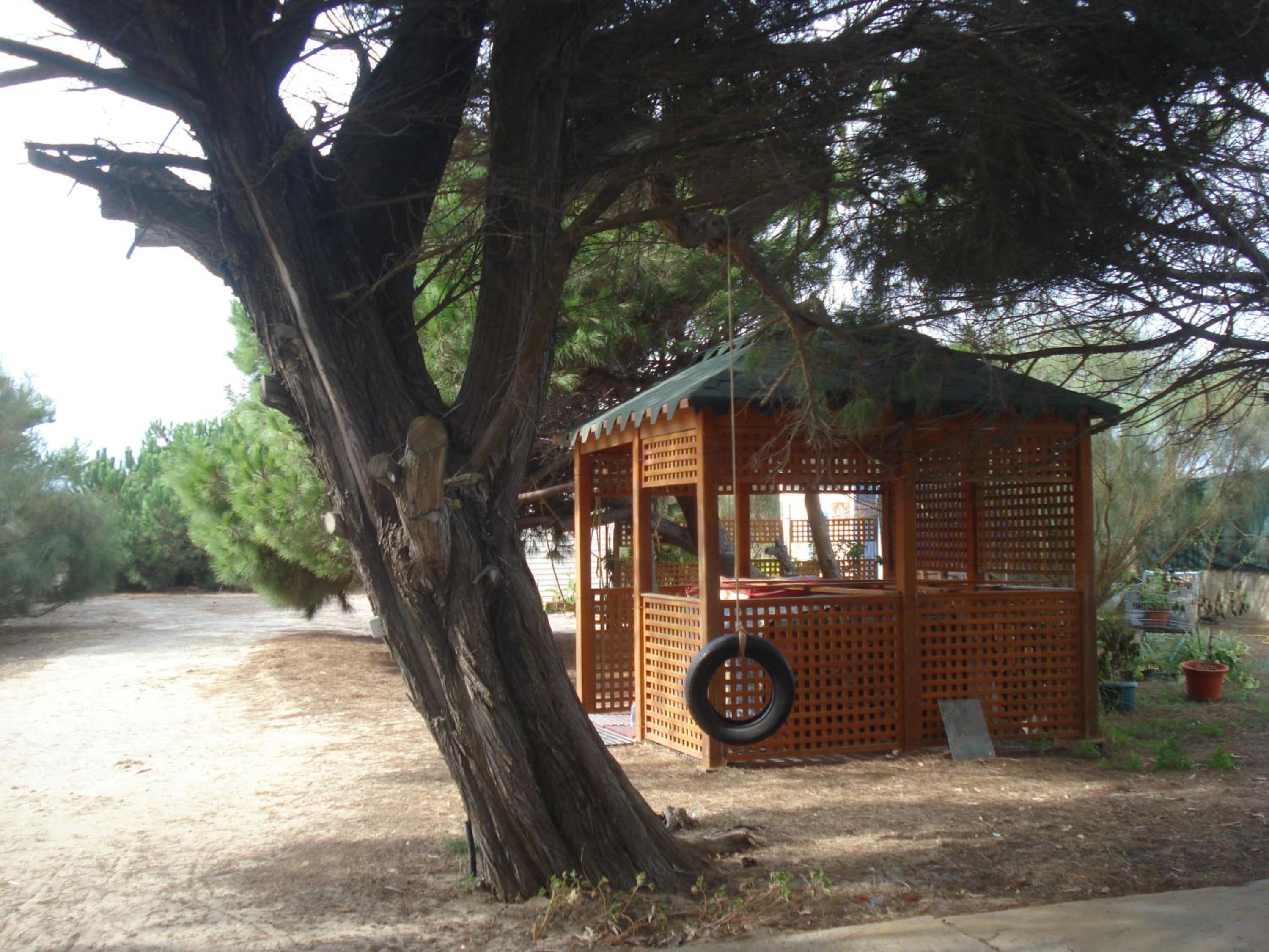 Photo 41