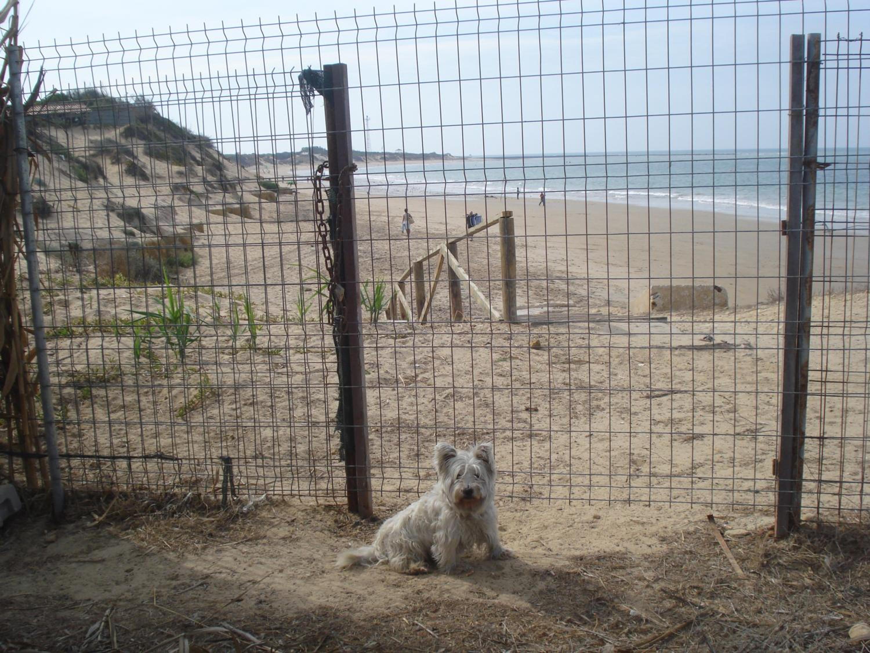 Photo 49