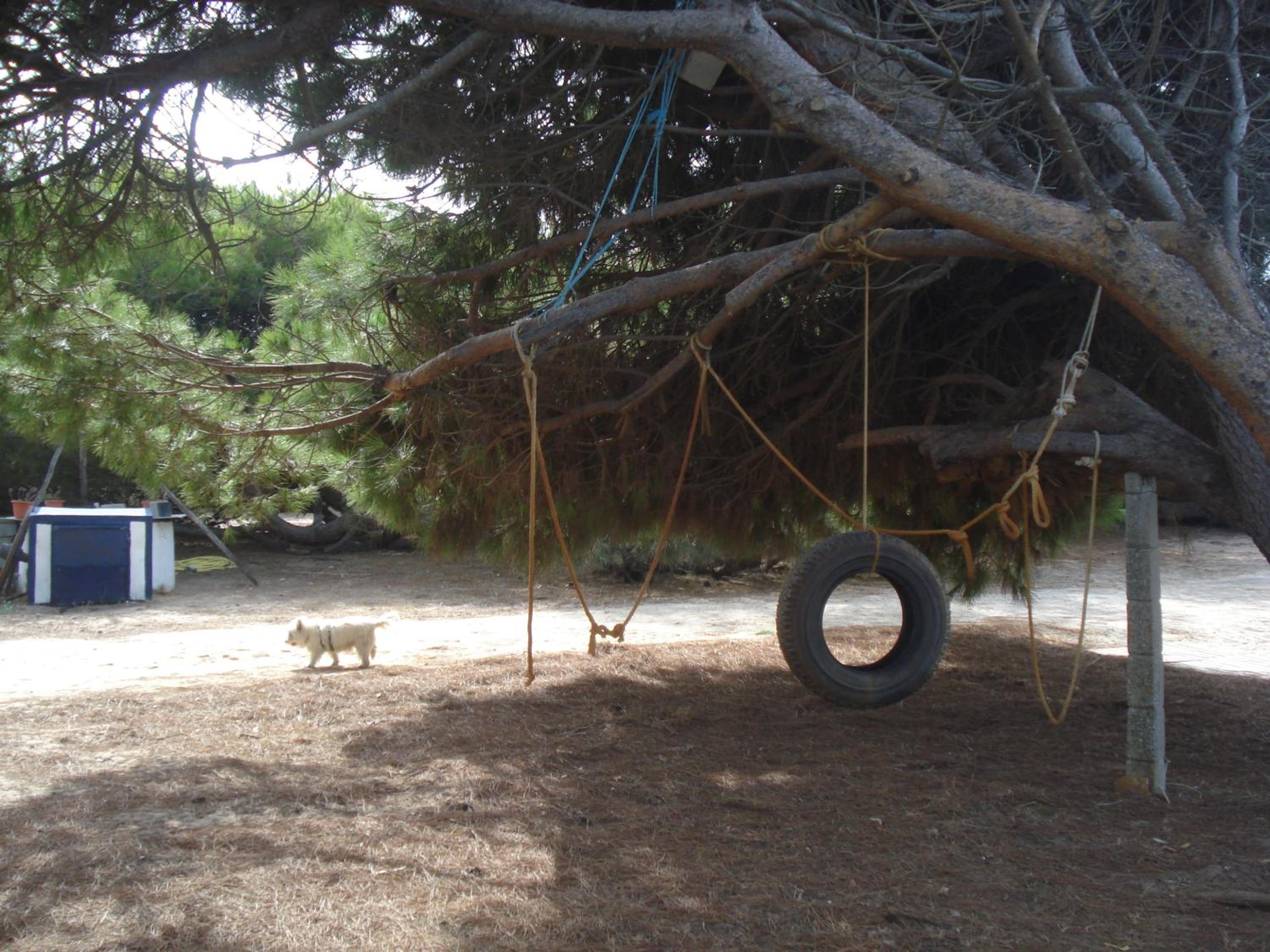Photo 42