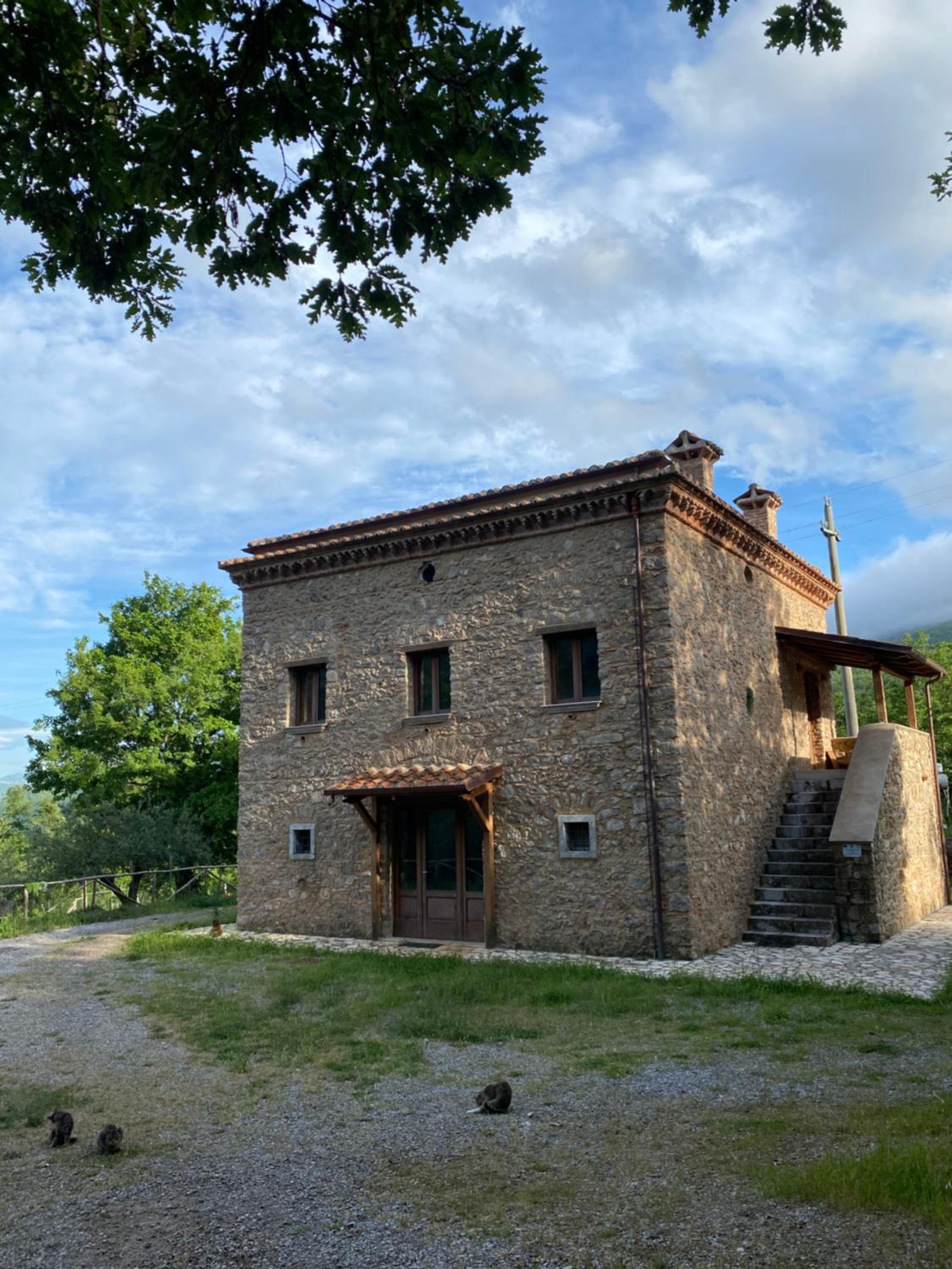Photo 19
