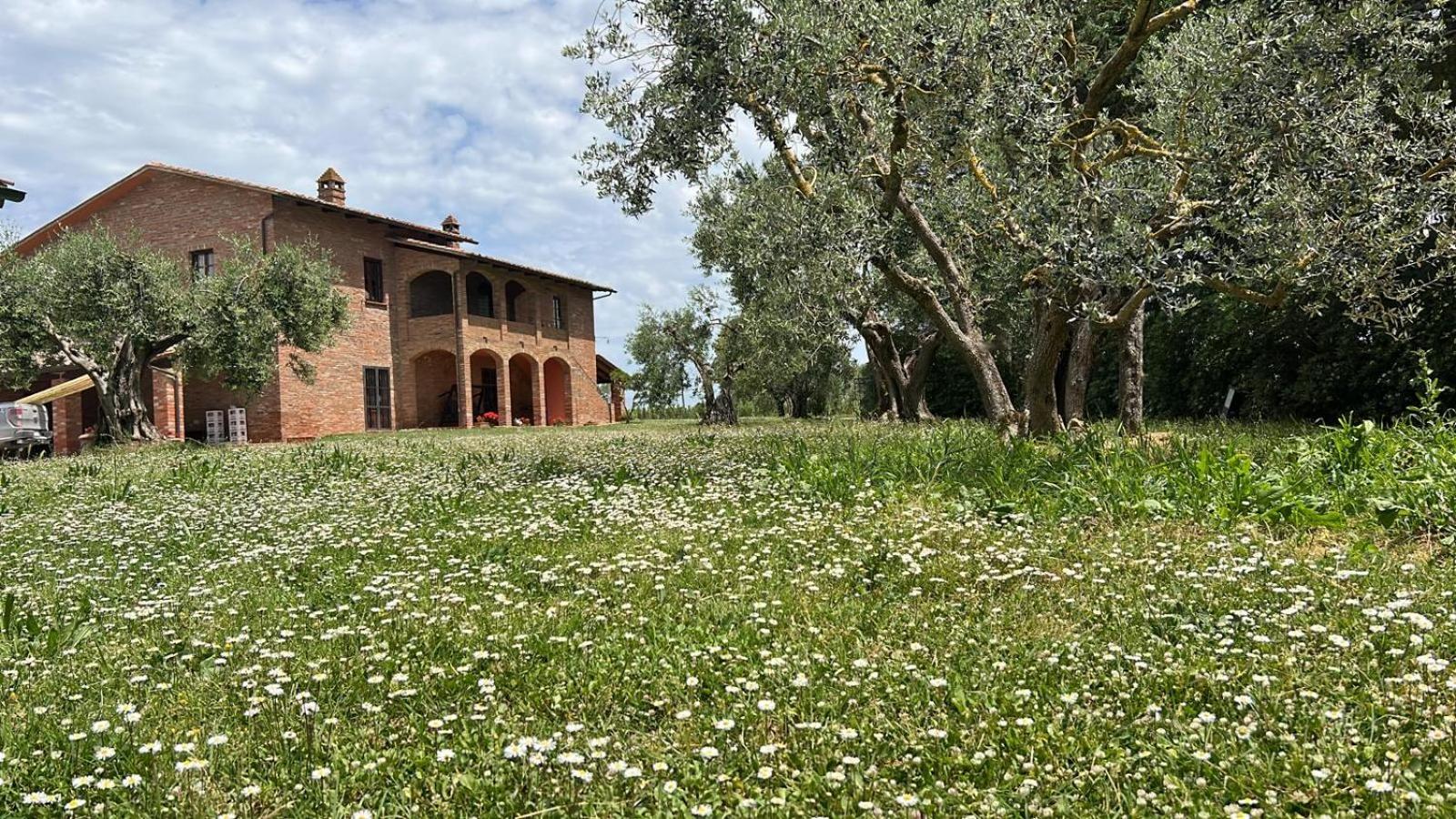 Il Granaio