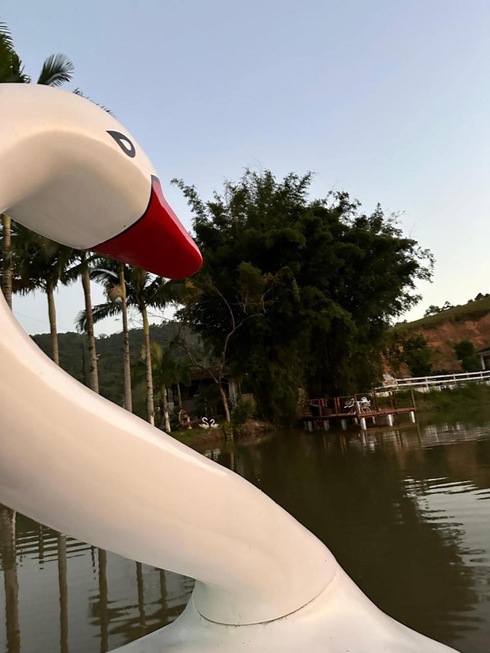 Recanto do Cisne