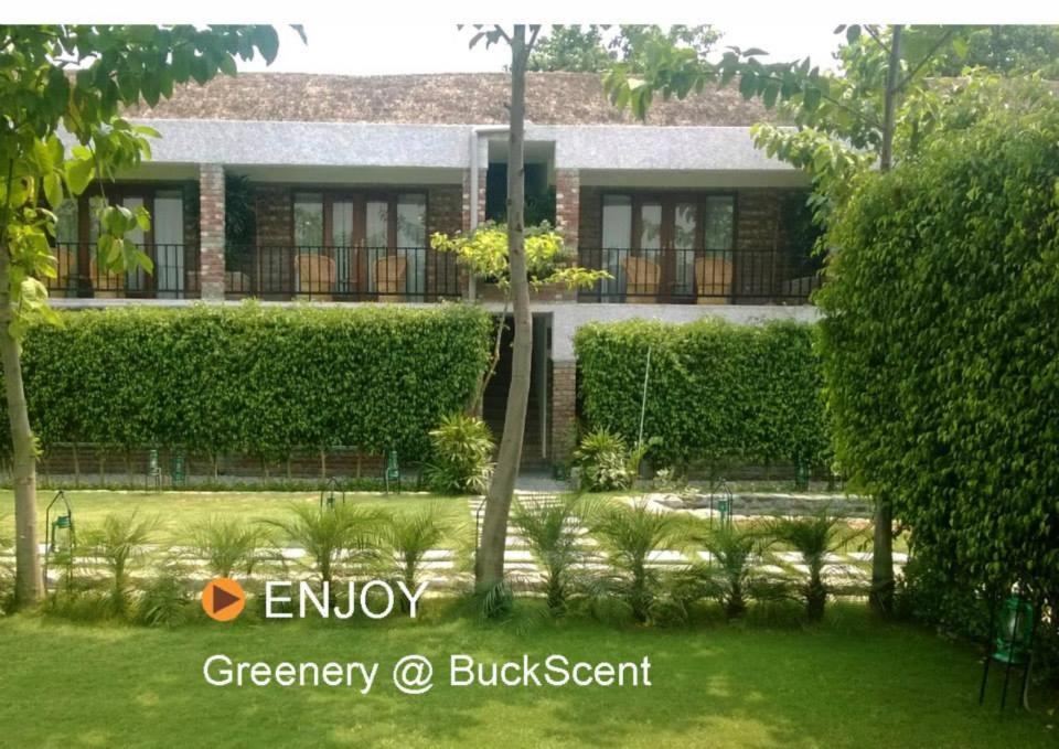 Buckscent Corbett Retreat view 2