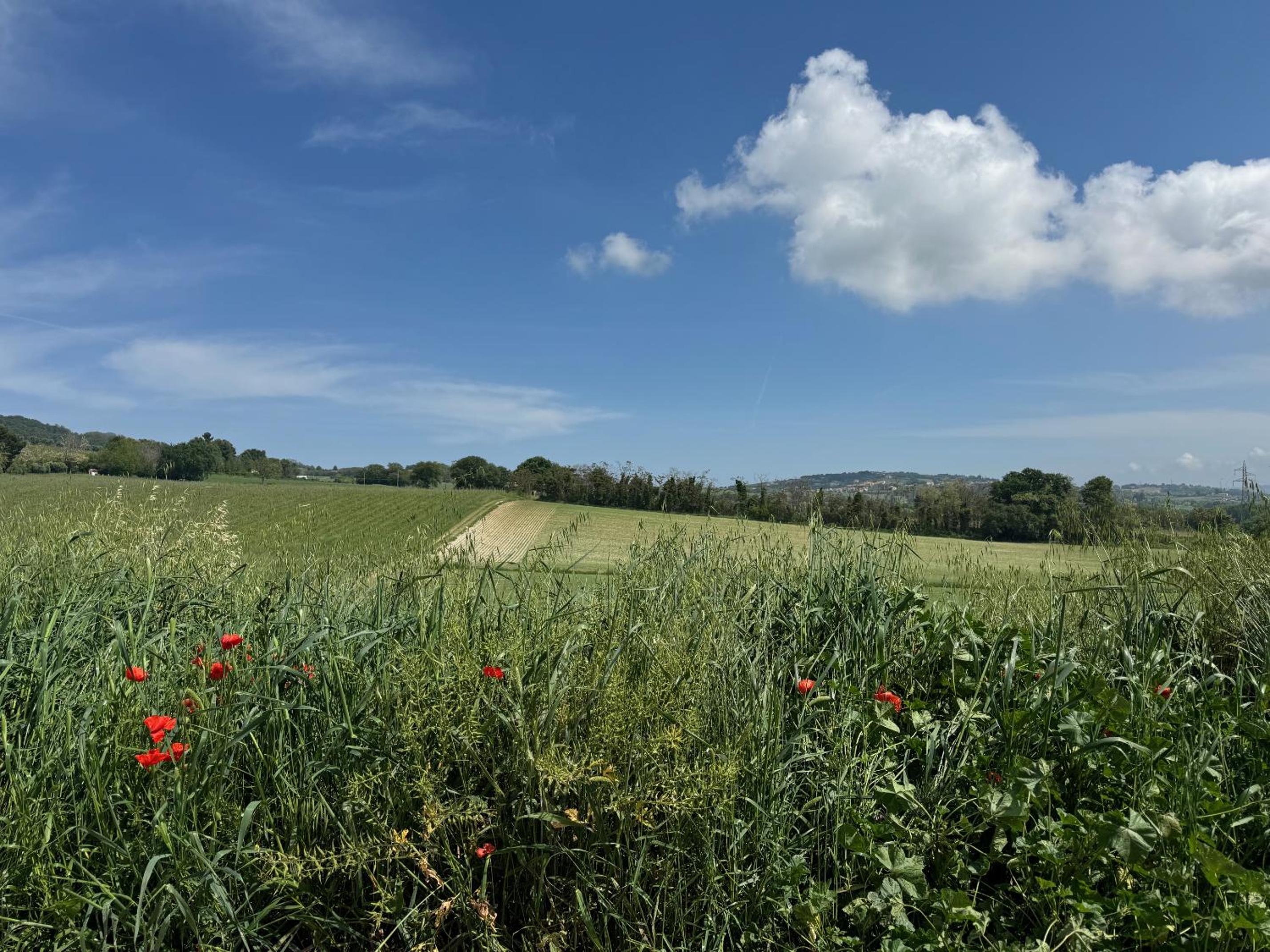 Agriturismo Biancarda