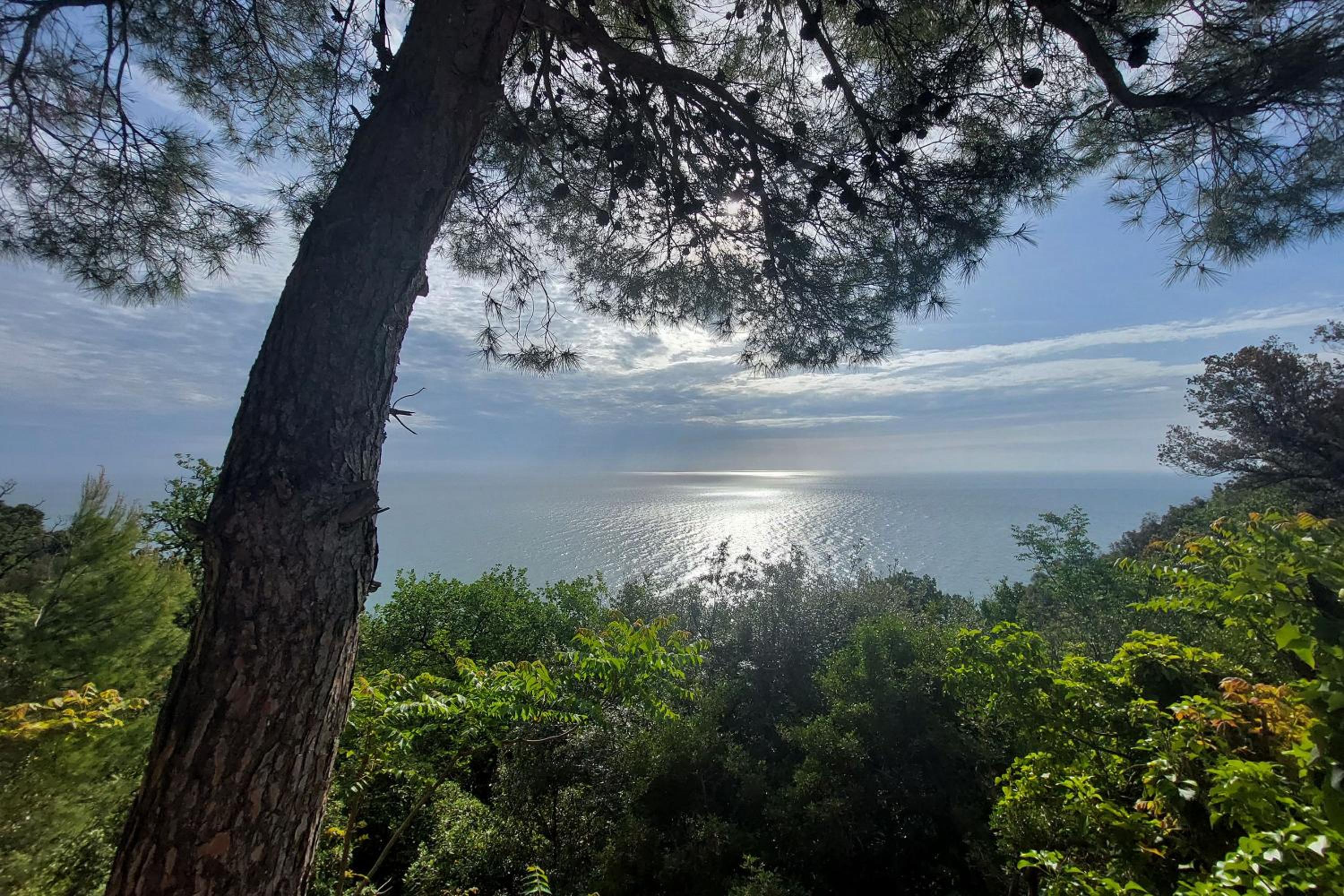 Agriturismo Biancarda