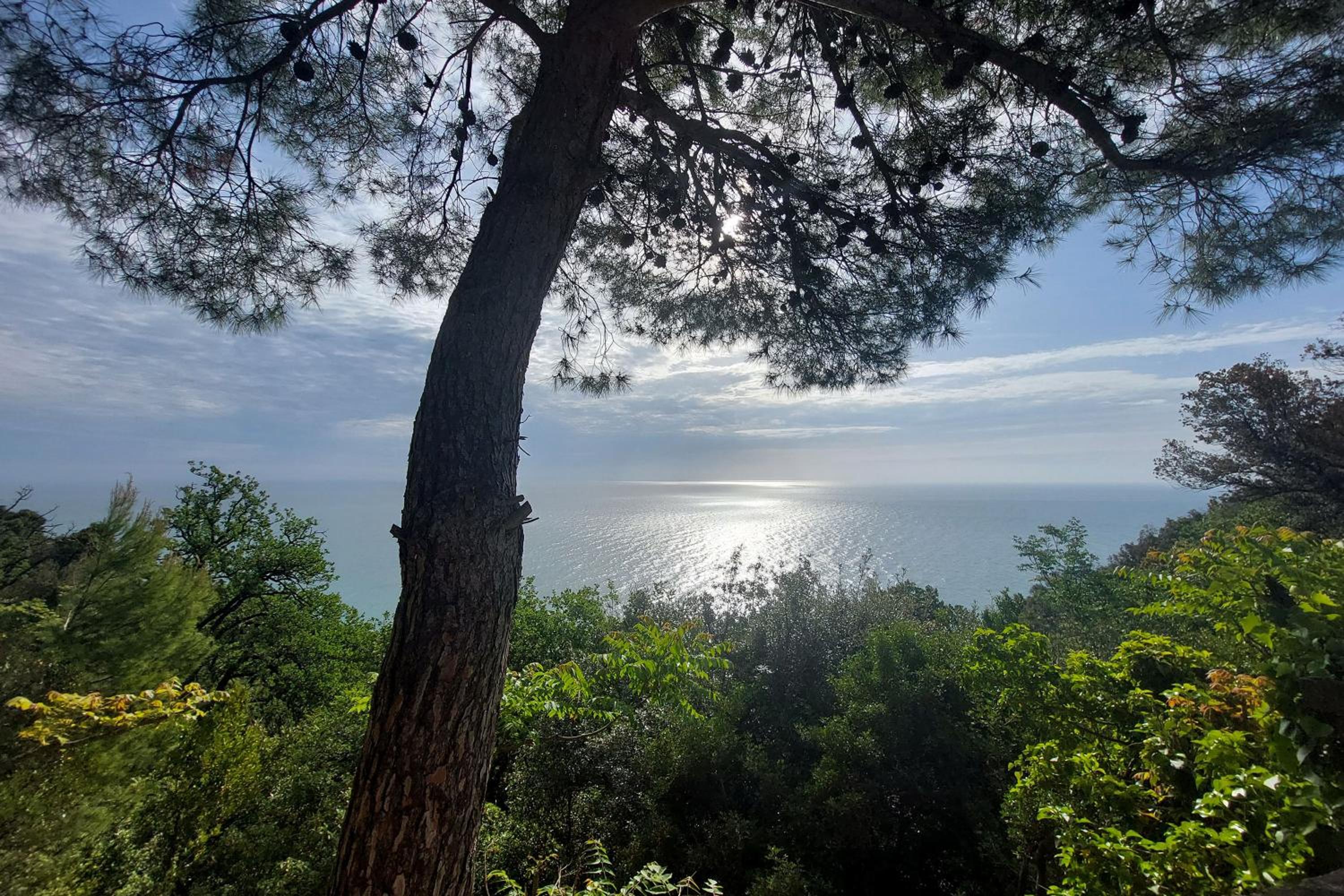 Agriturismo Biancarda