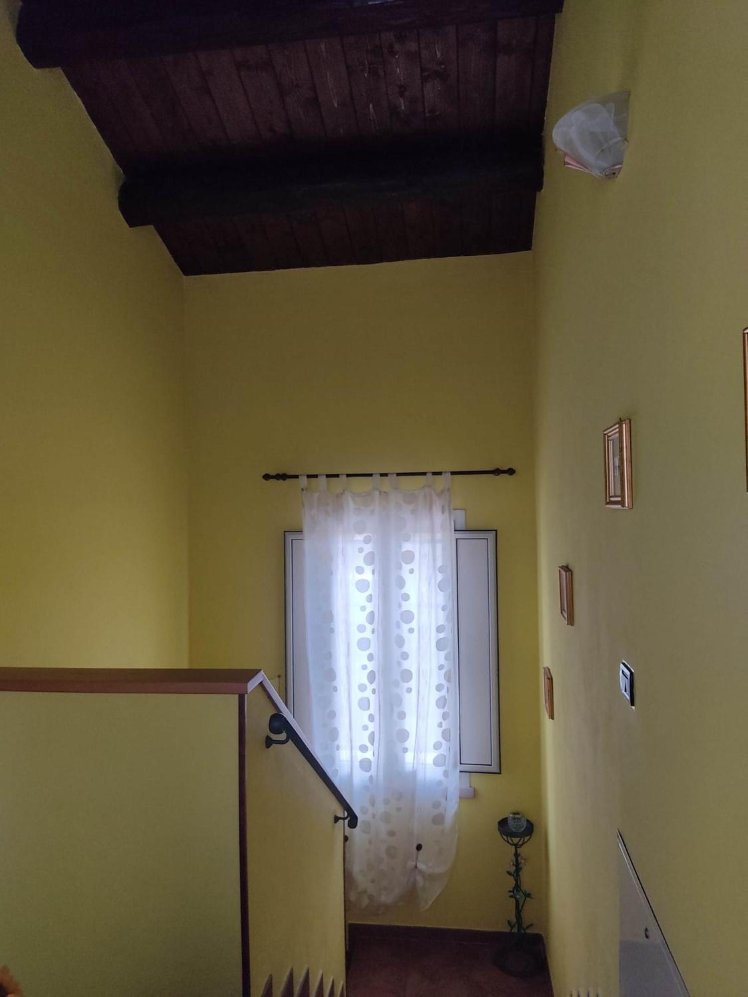 Photo 37
