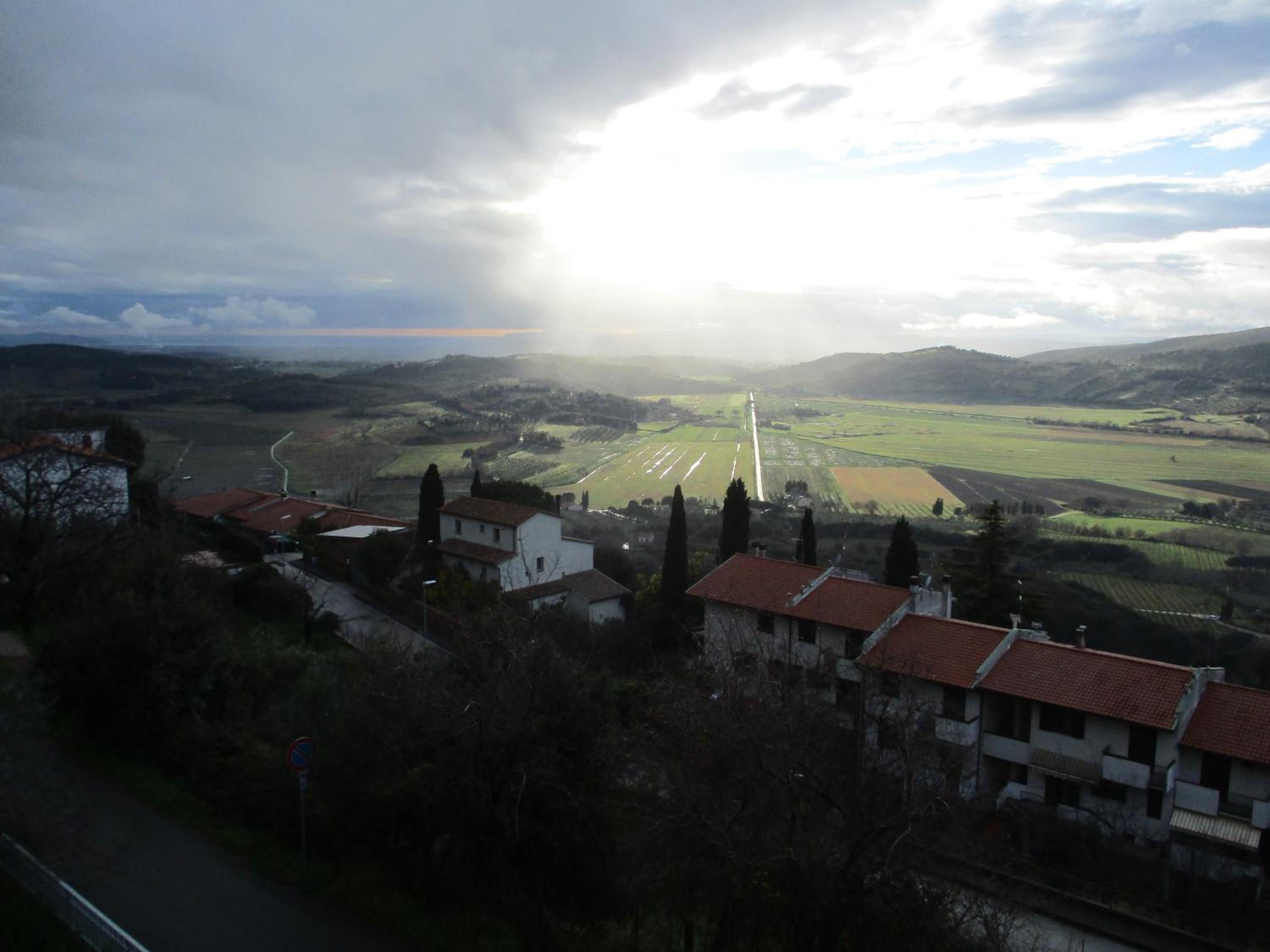 Photo 42