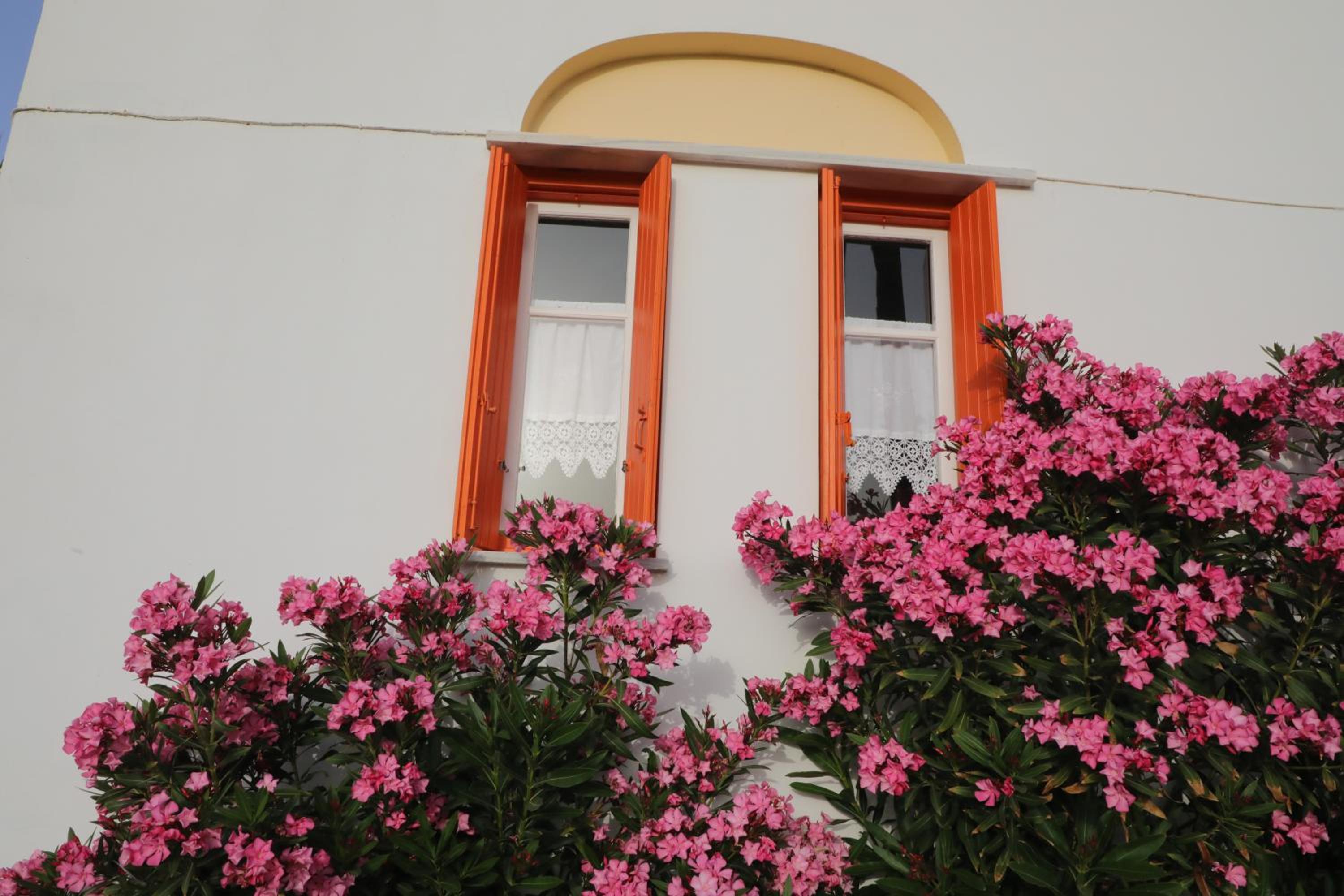 Panormos Apartments