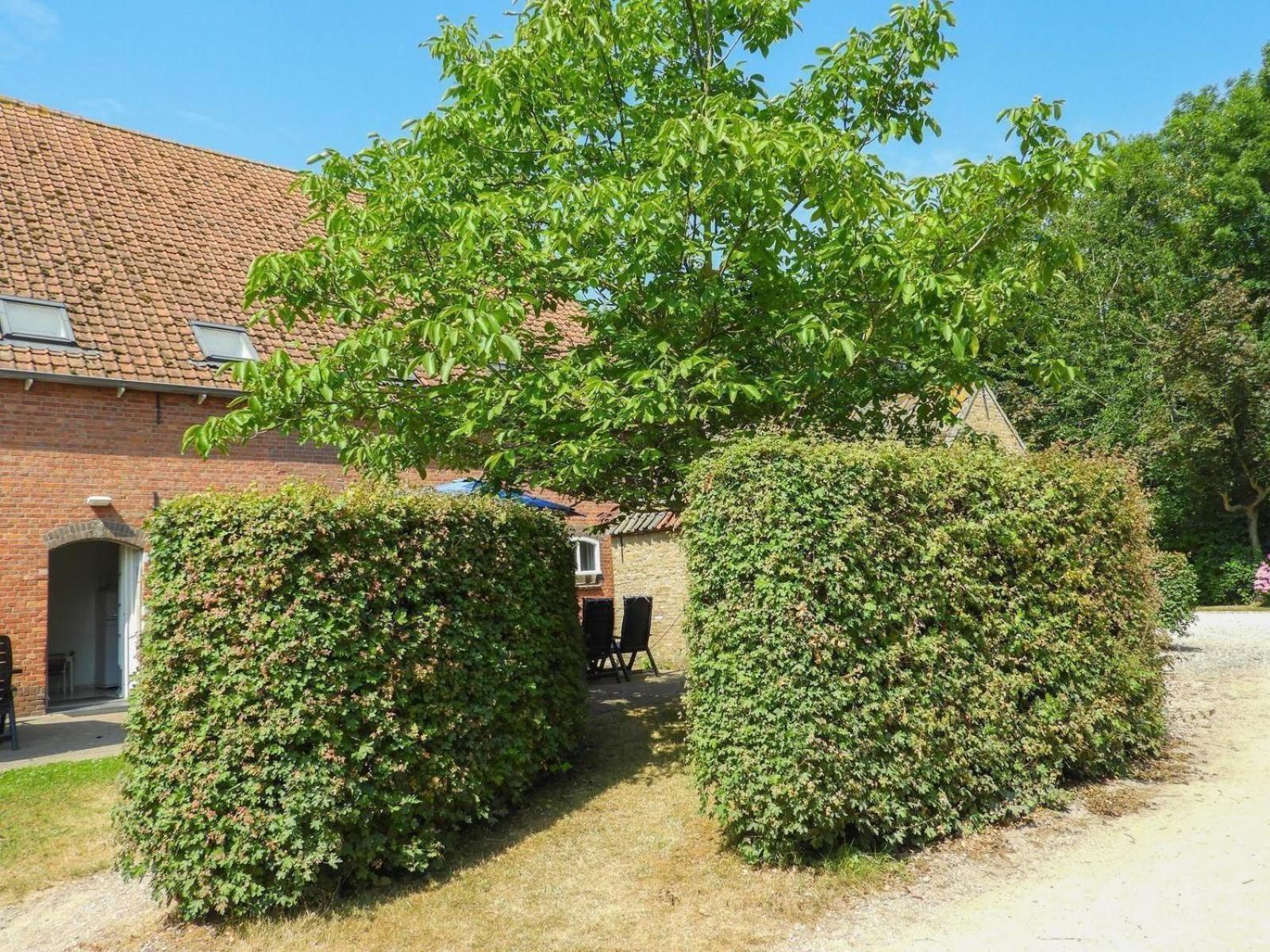 VZ138 Vakantiehuis Grijpskerke view 4