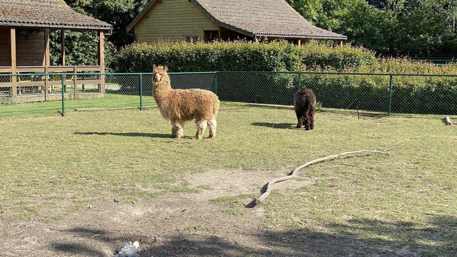 Photo 30