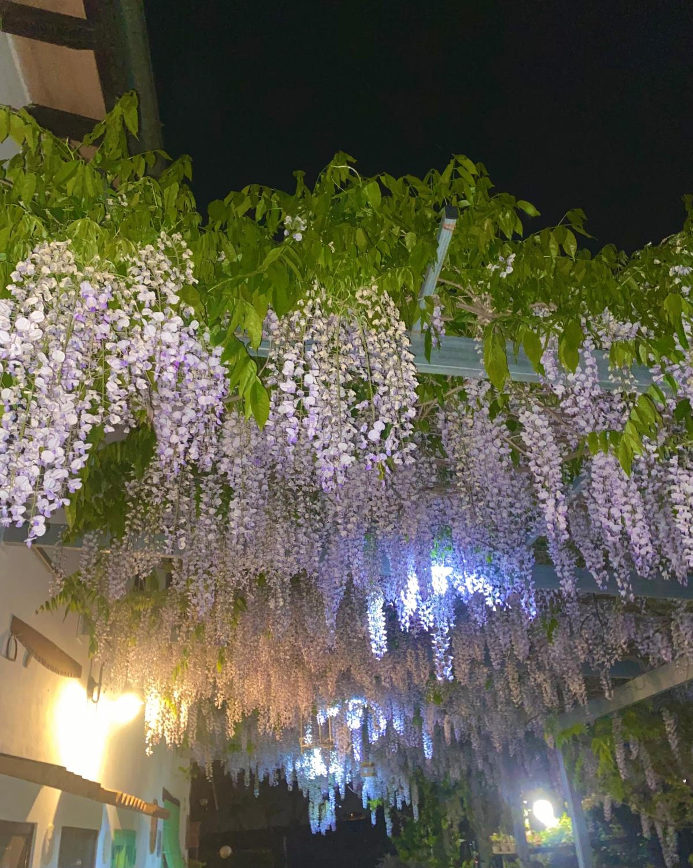 La Locanda Del Tevere Slow tourism near Rome