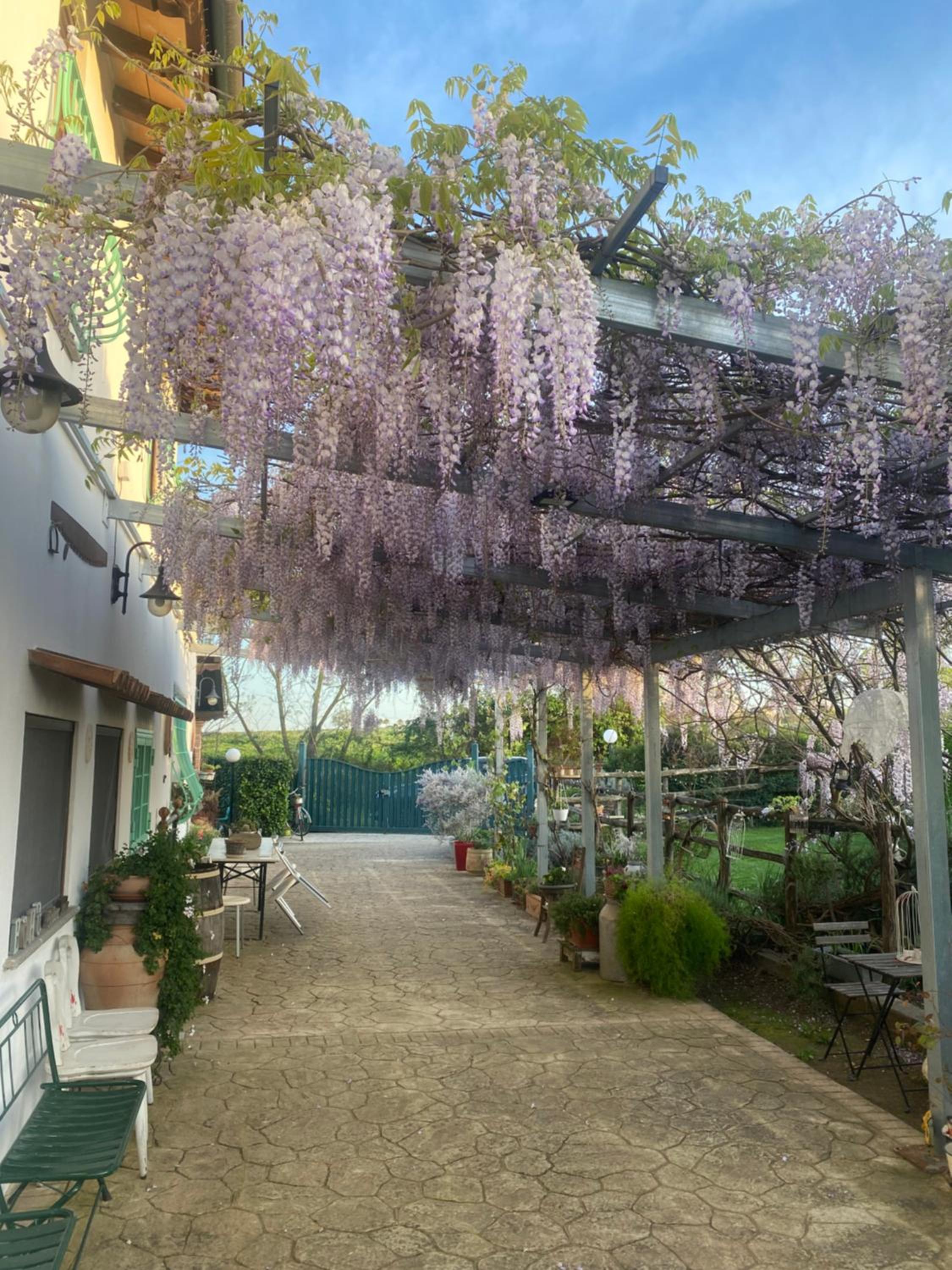 La Locanda Del Tevere Slow tourism near Rome