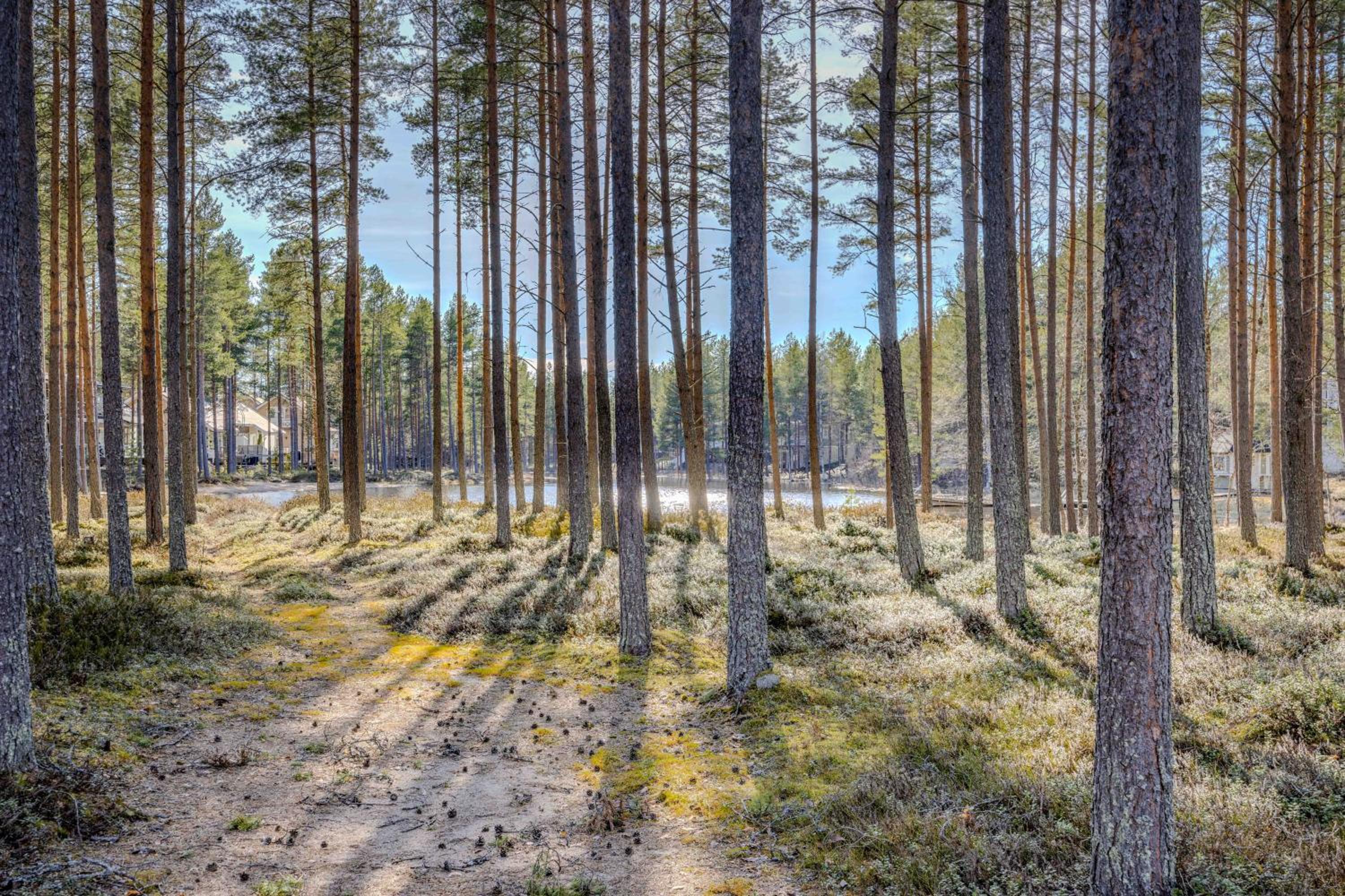 Tähtisara A - Ulkoporeammeella lisämaksullinen