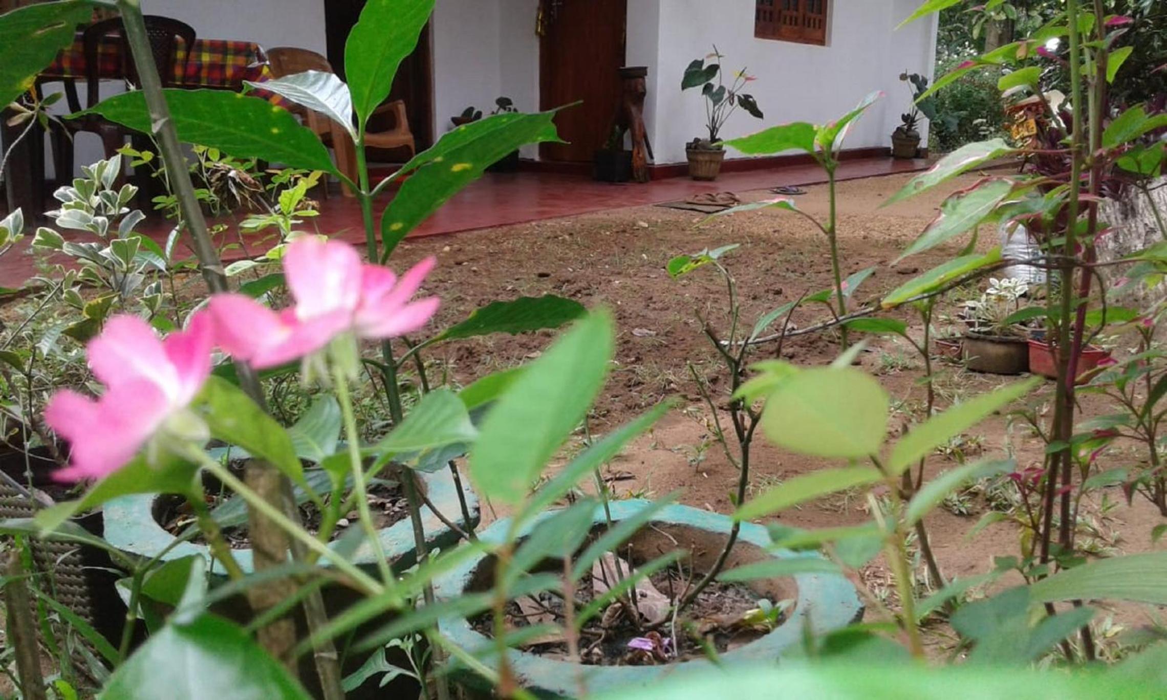 Winstar Homestay