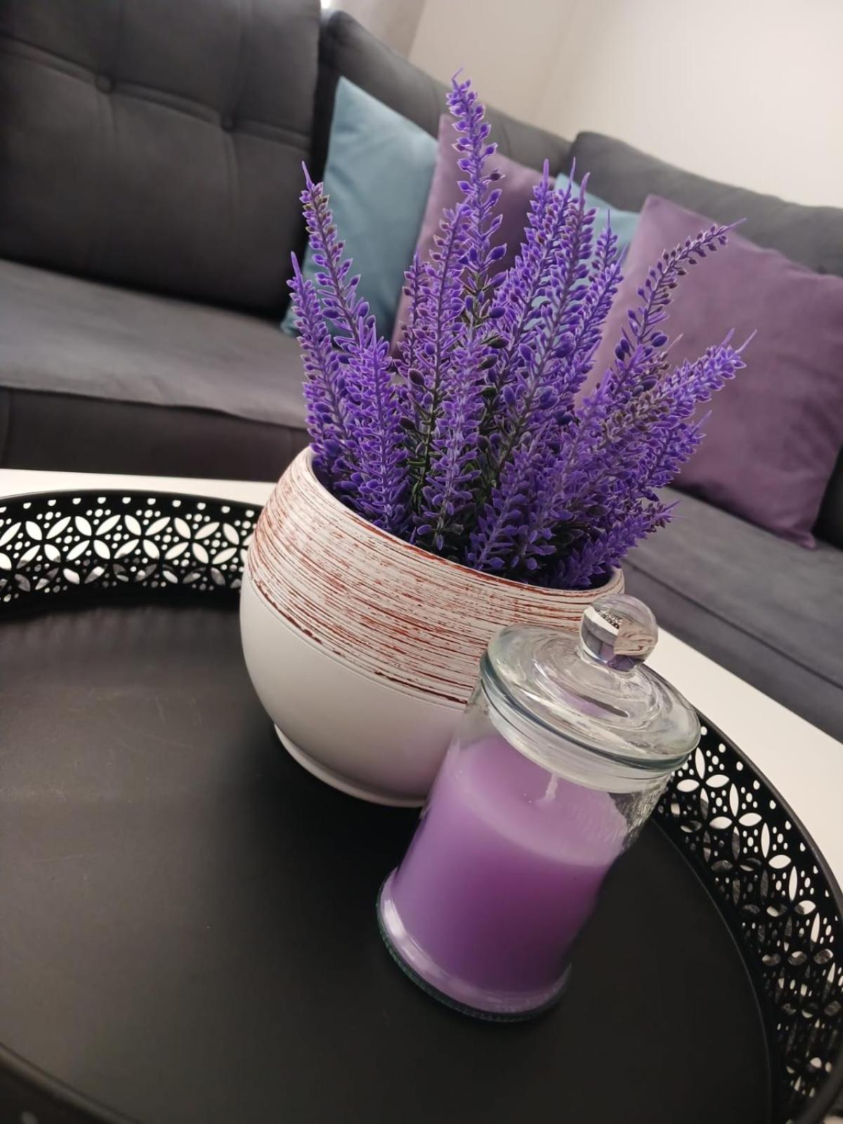 Apartman Anavi