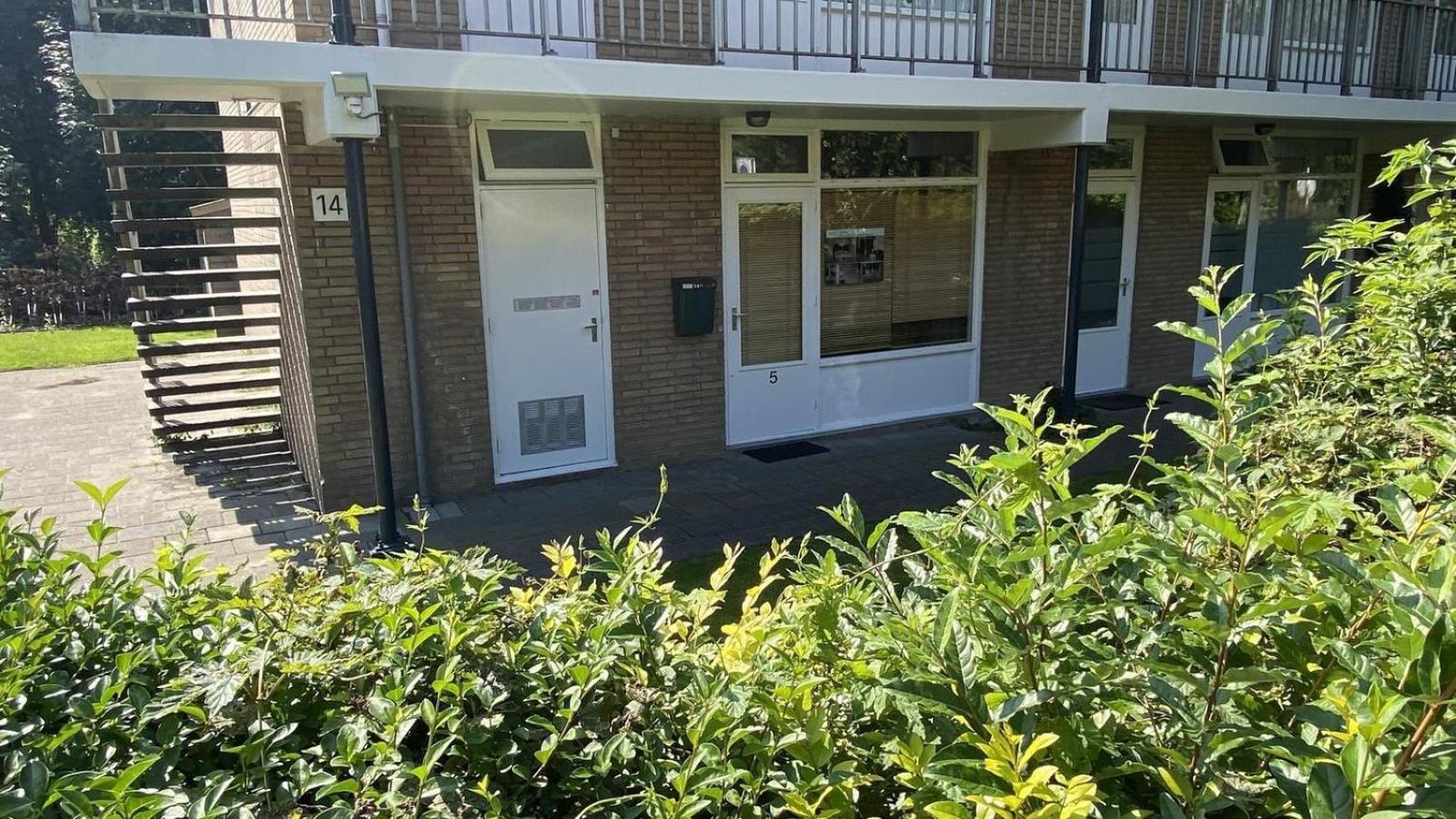Photo 18