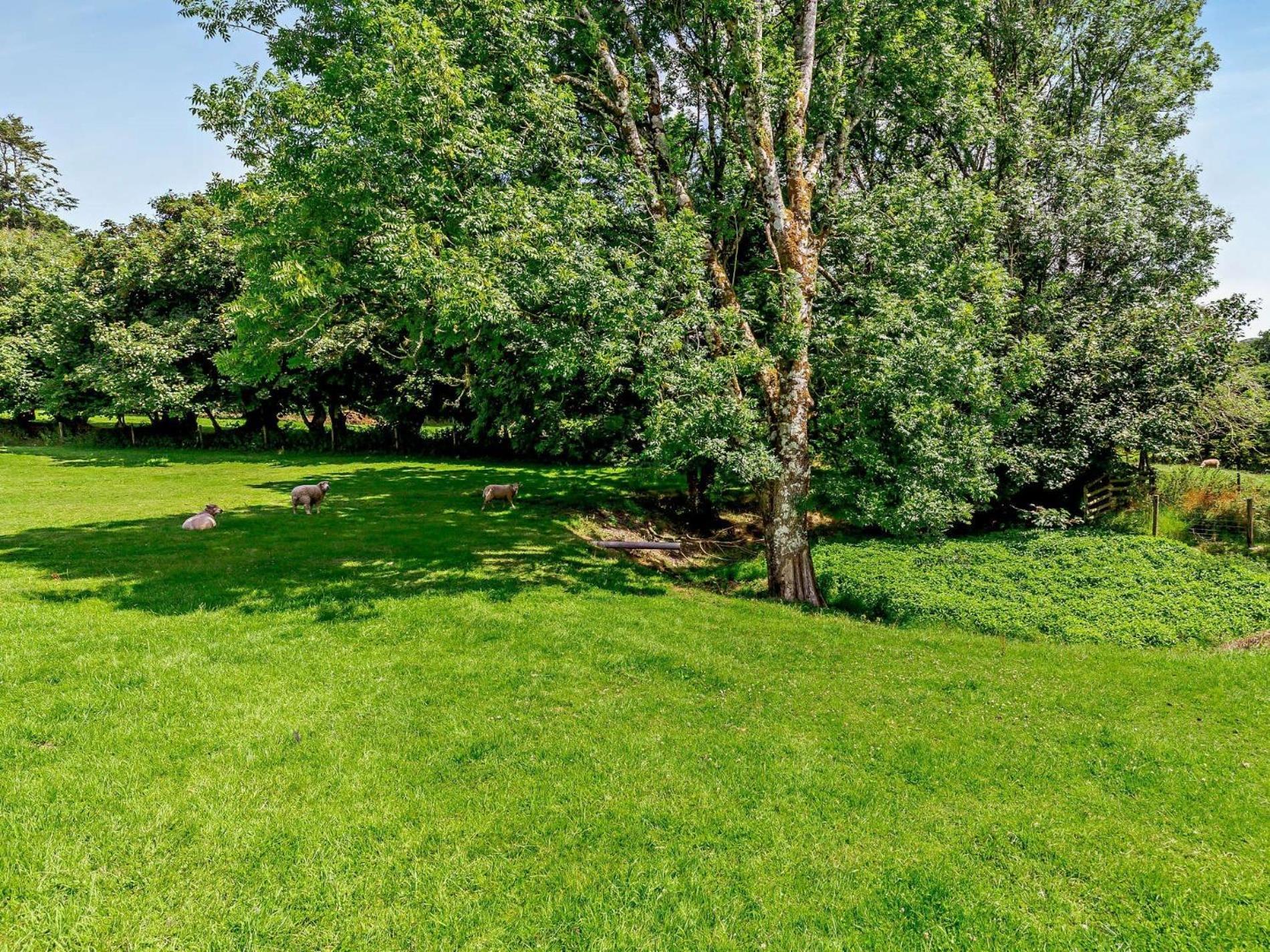 2 Bed in Callington oc-kates view 5