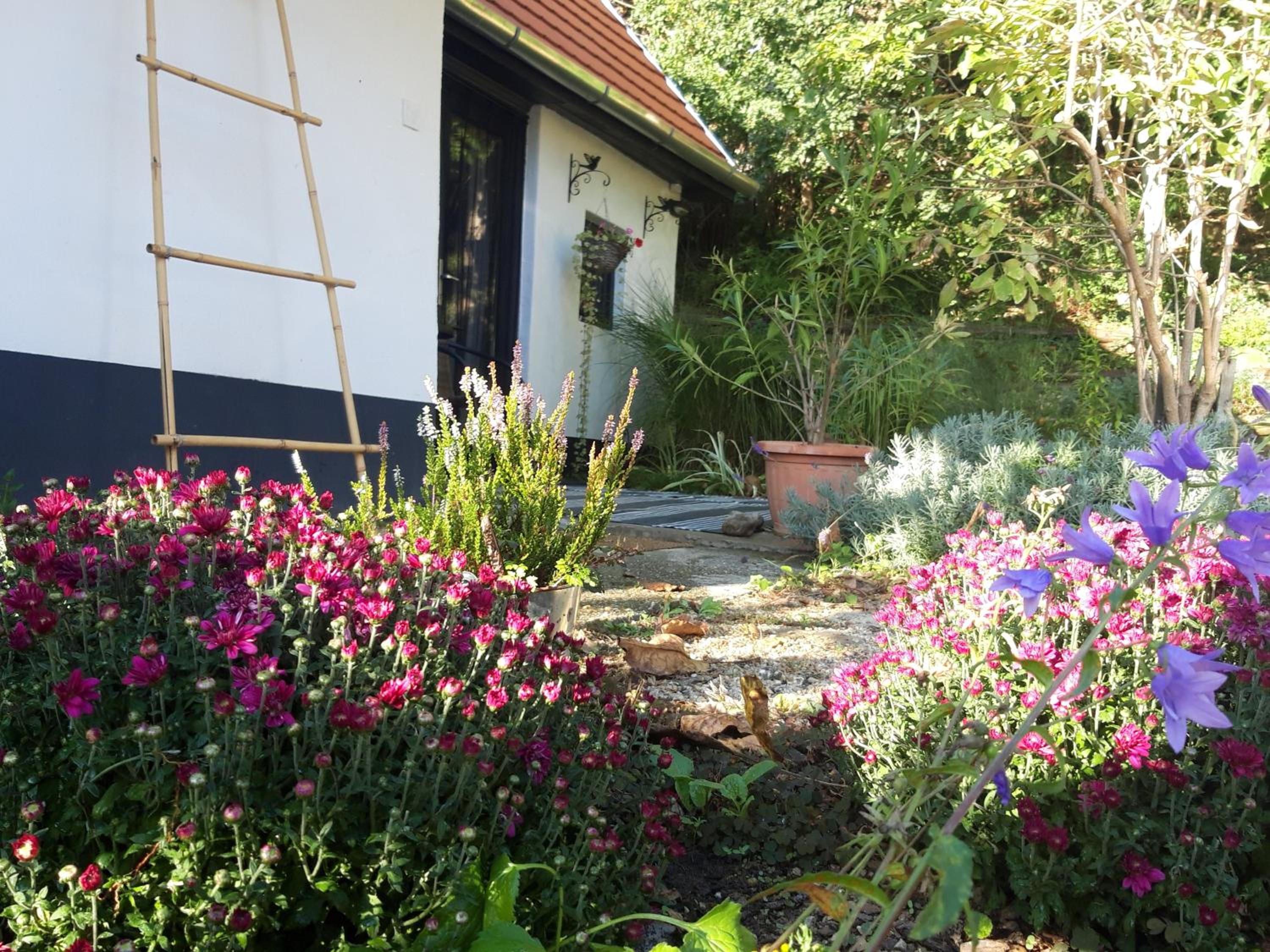 Photo 44
