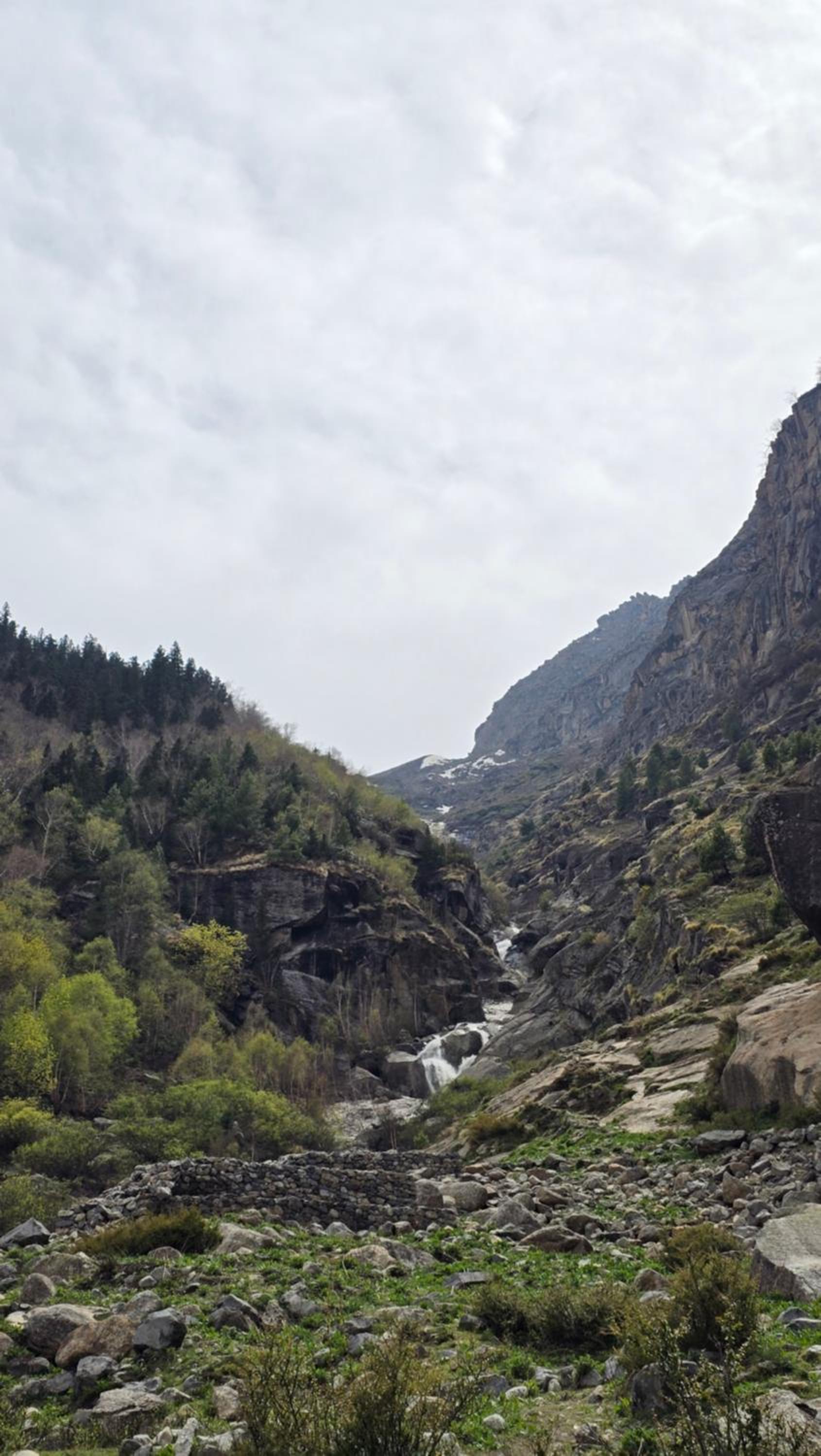Sangla Valley Camping