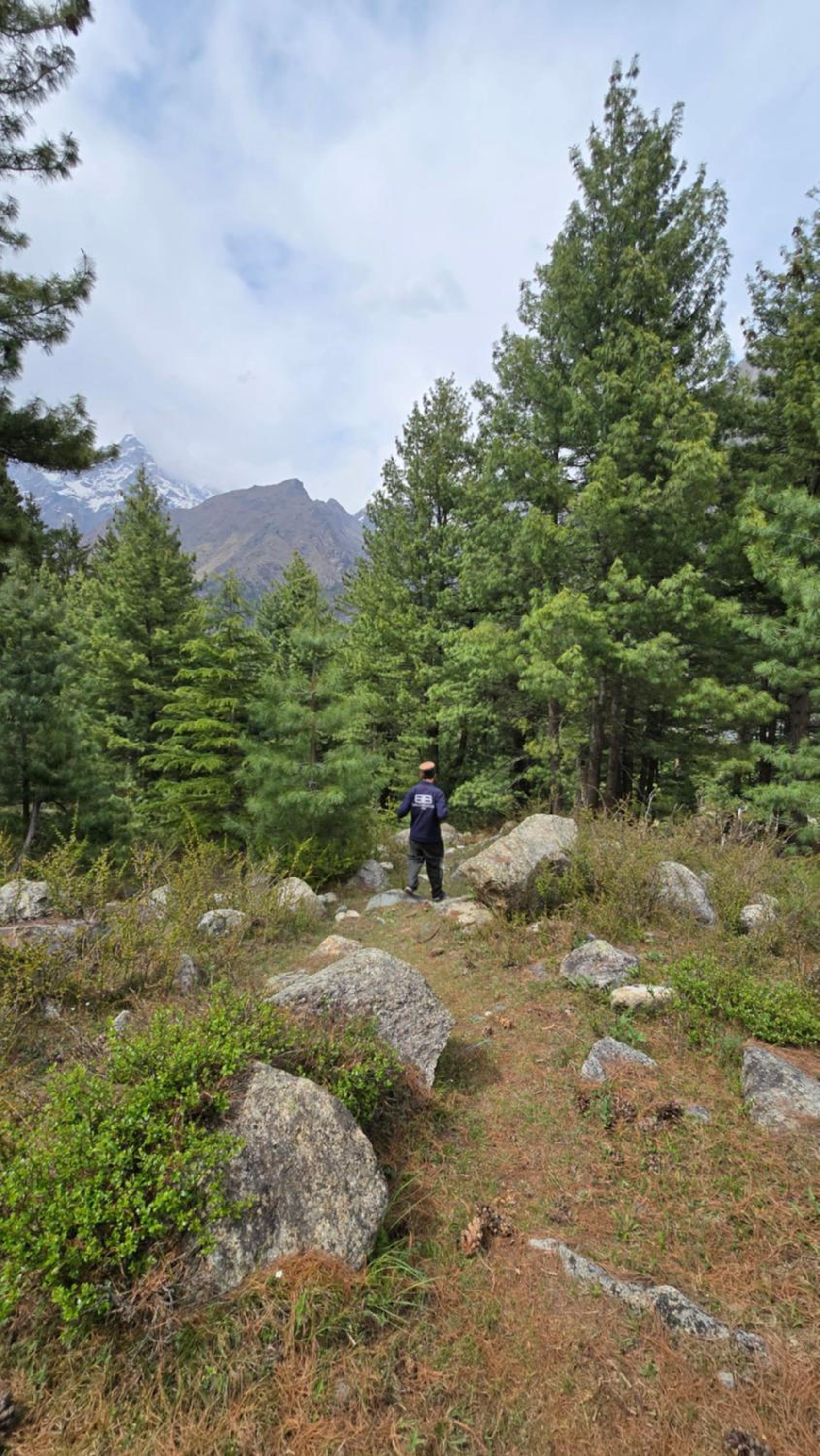 Sangla Valley Camping