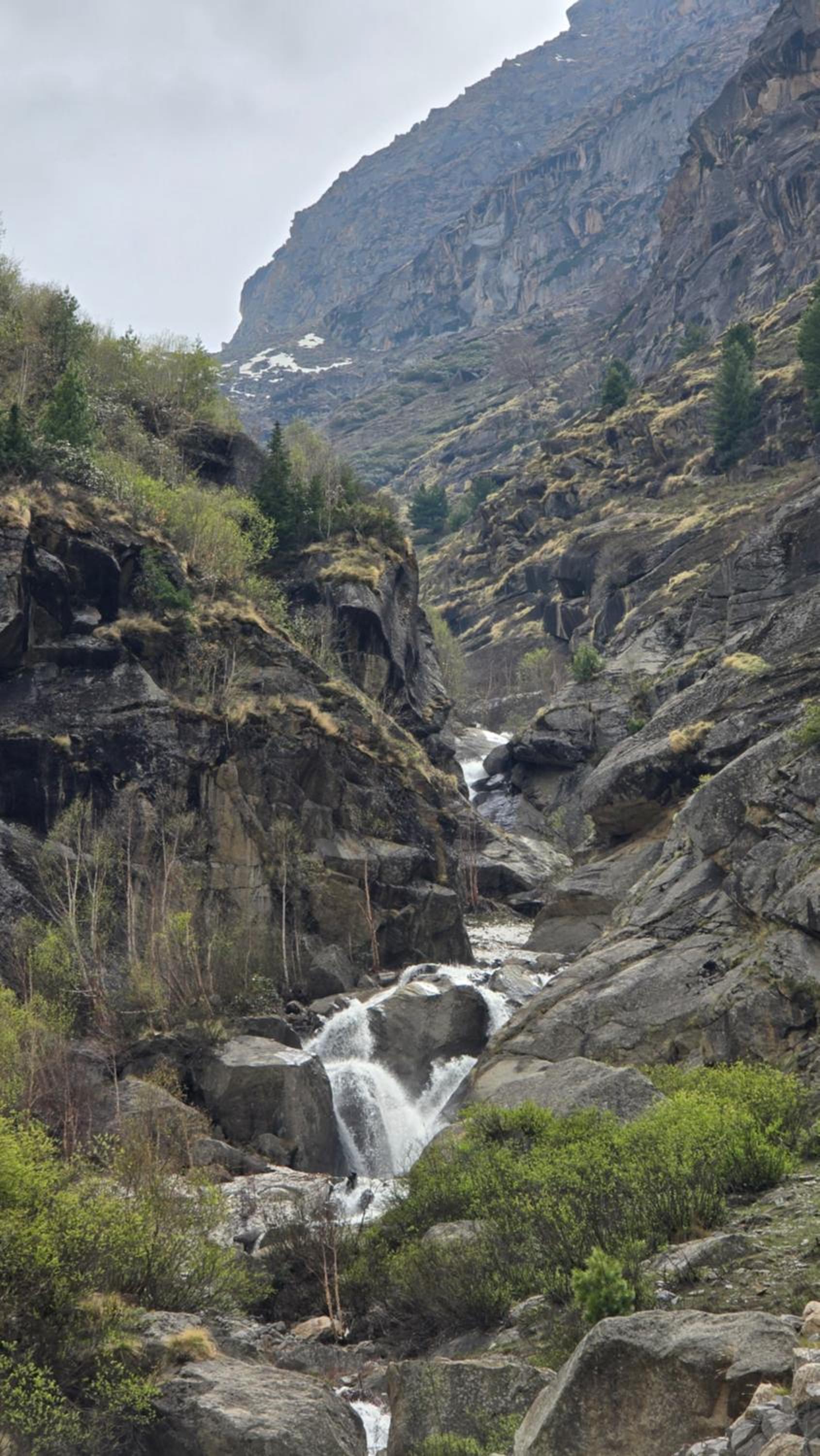 Sangla Valley Camping