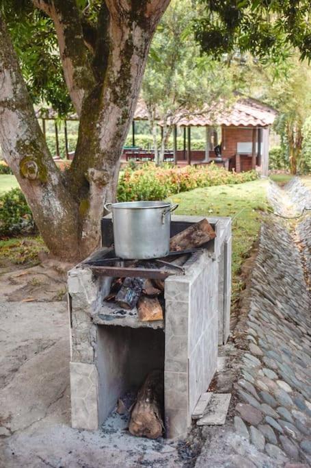 Finca Es vedrá
