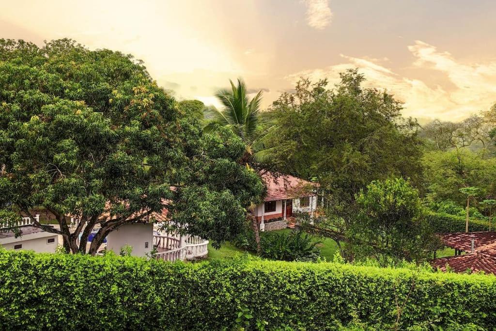 Finca Es vedrá