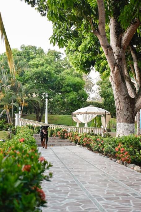 Finca Es vedrá