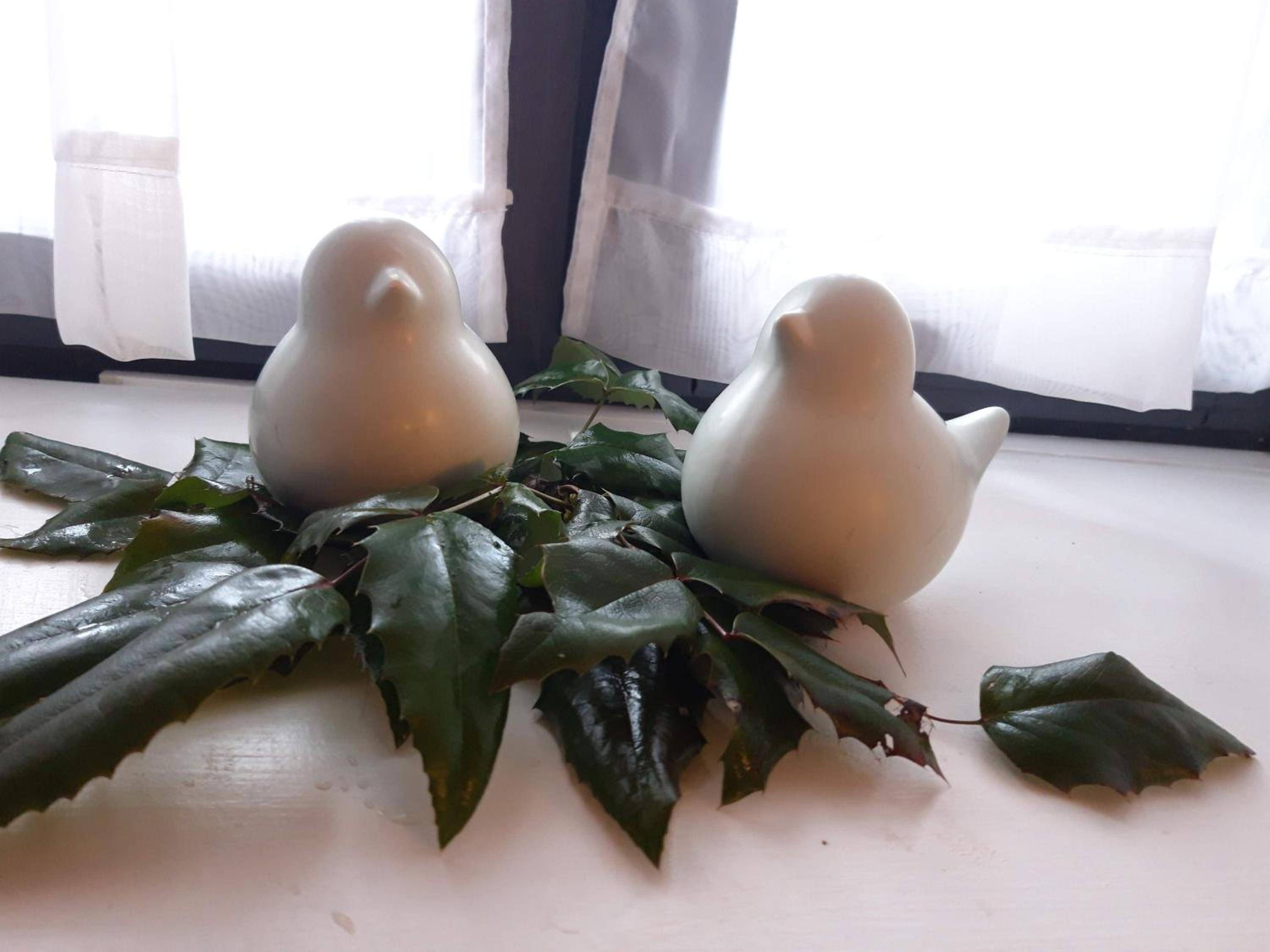 Photo 49