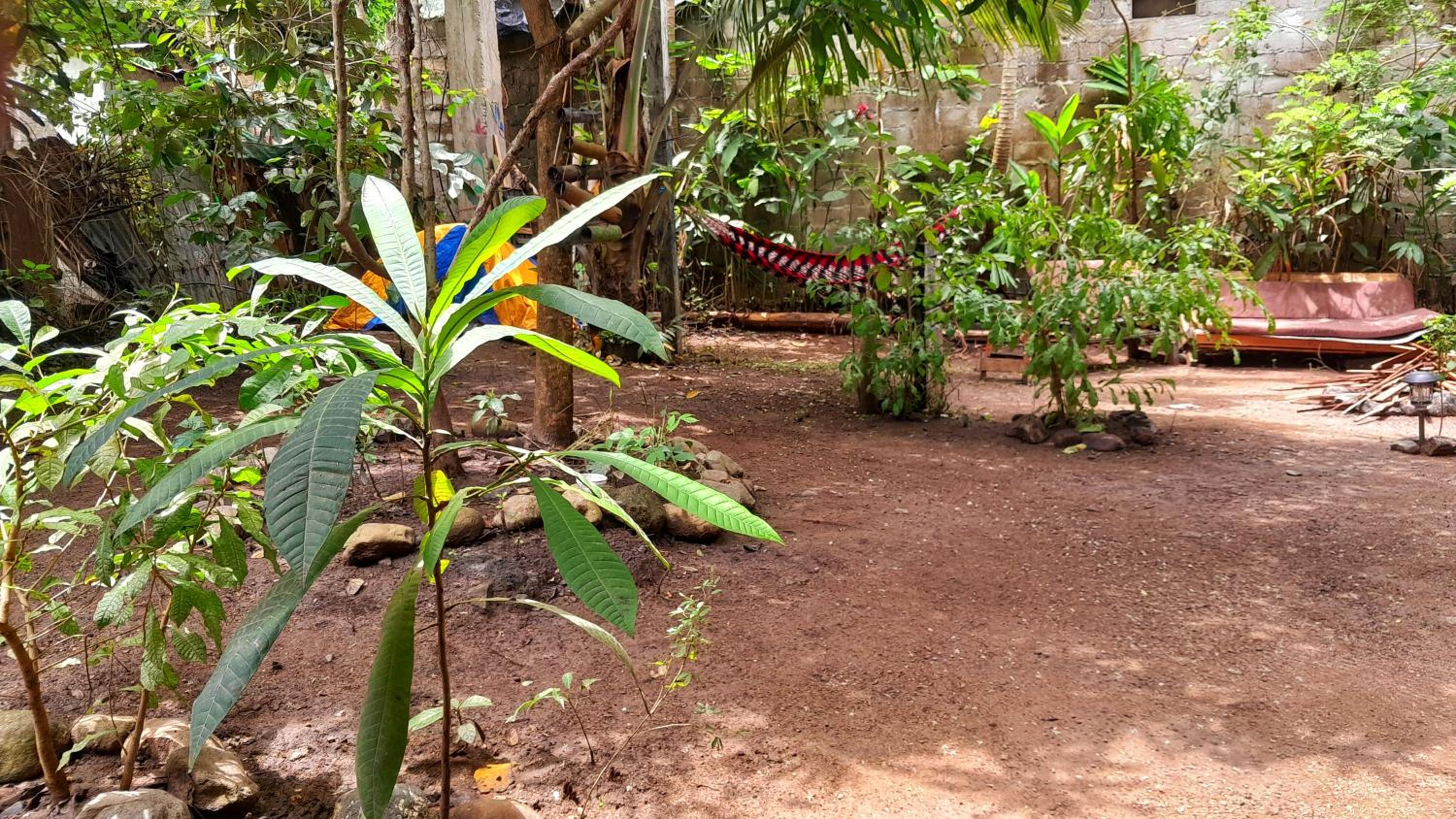 LA PIRATA Casa Hostel